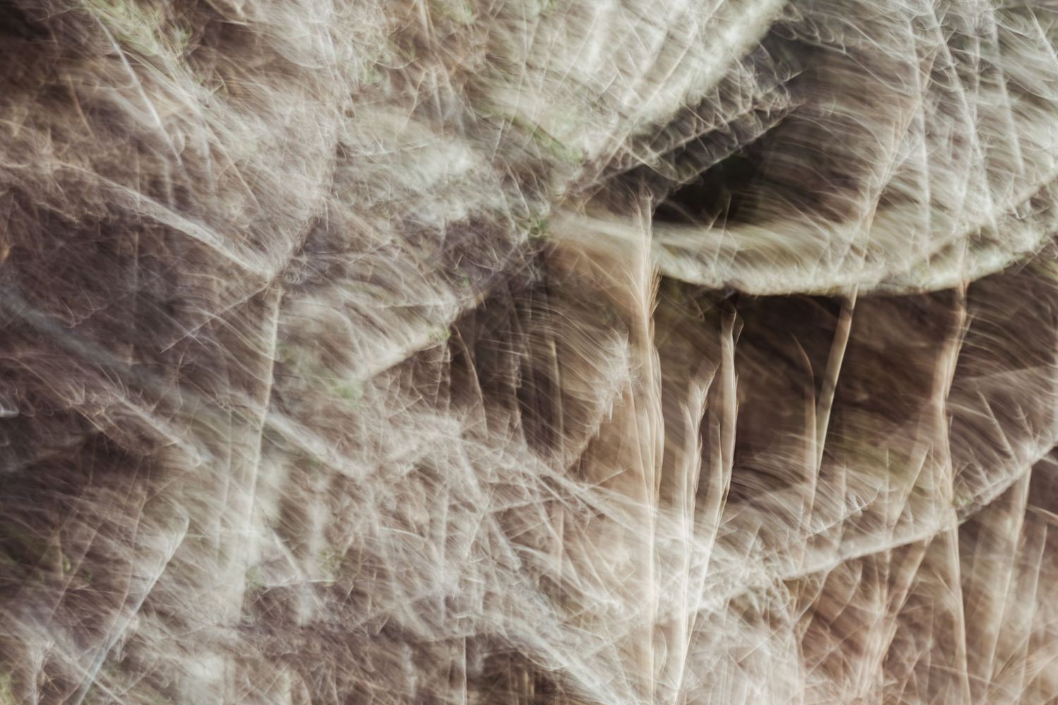 Textured abstract patterns in cream and brown tones with radiating lines.