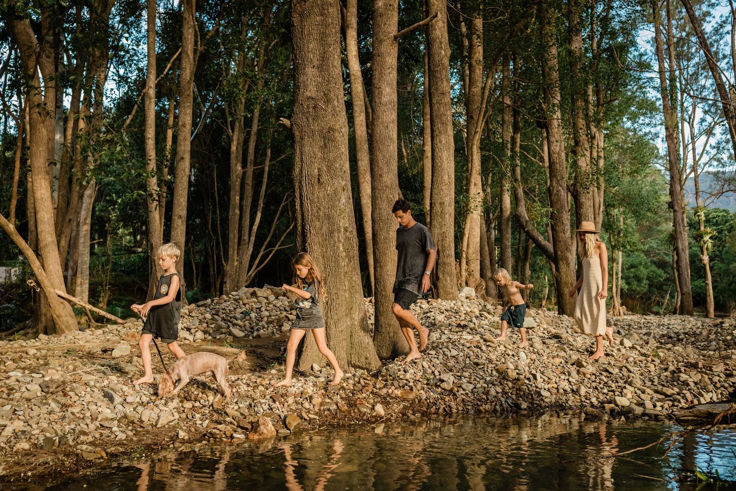 Natural woodland scene with people gathered among tall trees and fallen leaves.Gold Coast family photographer