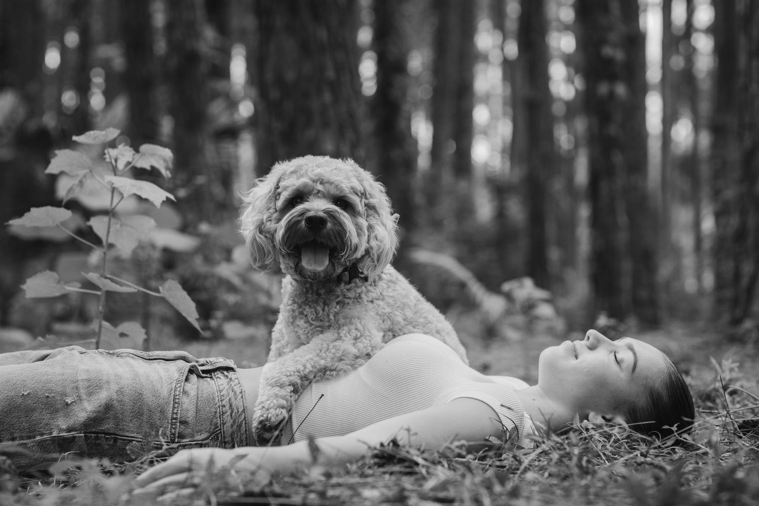 Dreamy black and white forest scene with people resting among fallen leaves.Pizzey park family photos. Gold Coast