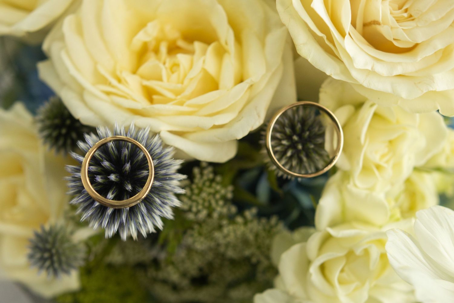 Wedding rings nestled among cream roses and thistle flowers in artistic macro shot.