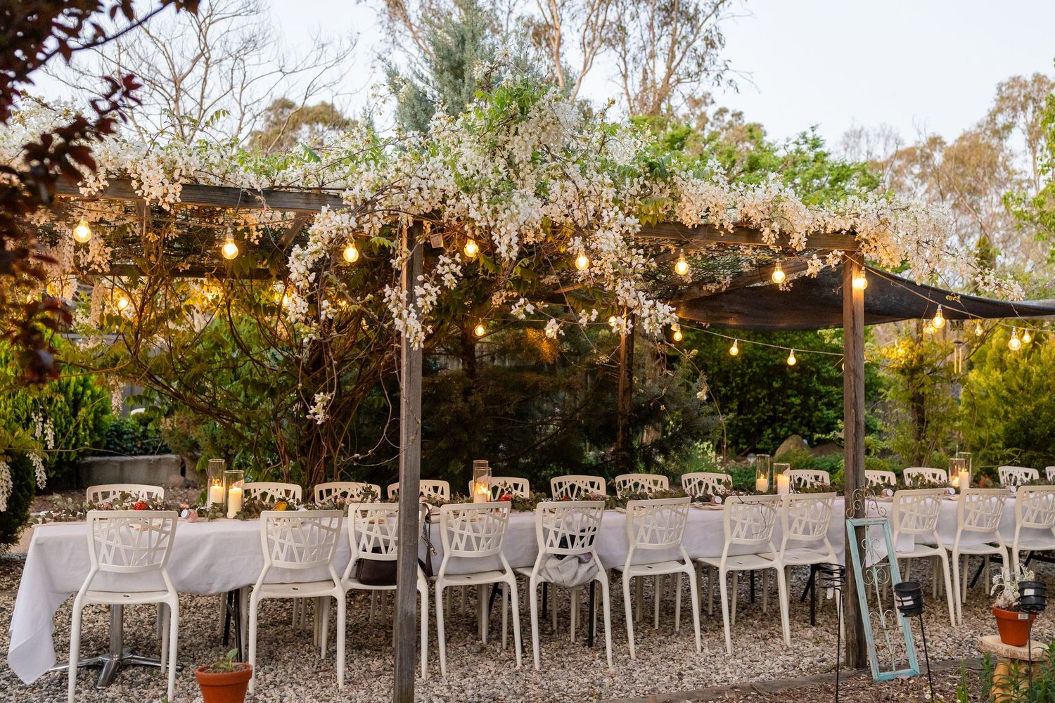 White chairs arranged in rows under flowering trees for an outdoor ceremony.