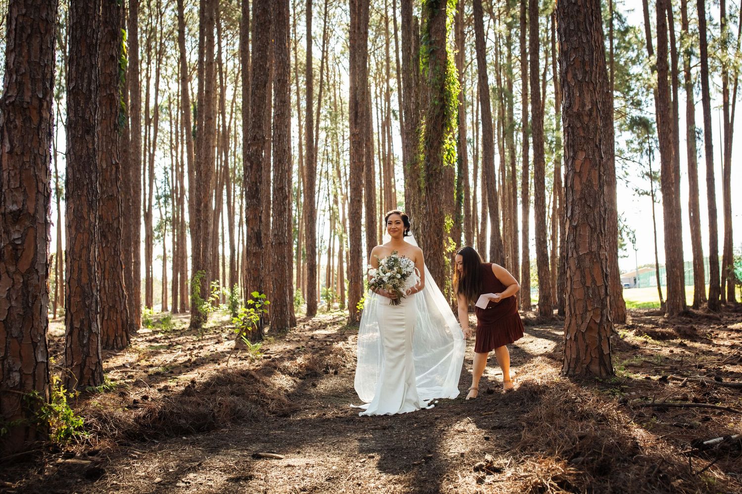 A wedding couple poses in dappled sunlight filtering through tall pine trees.
