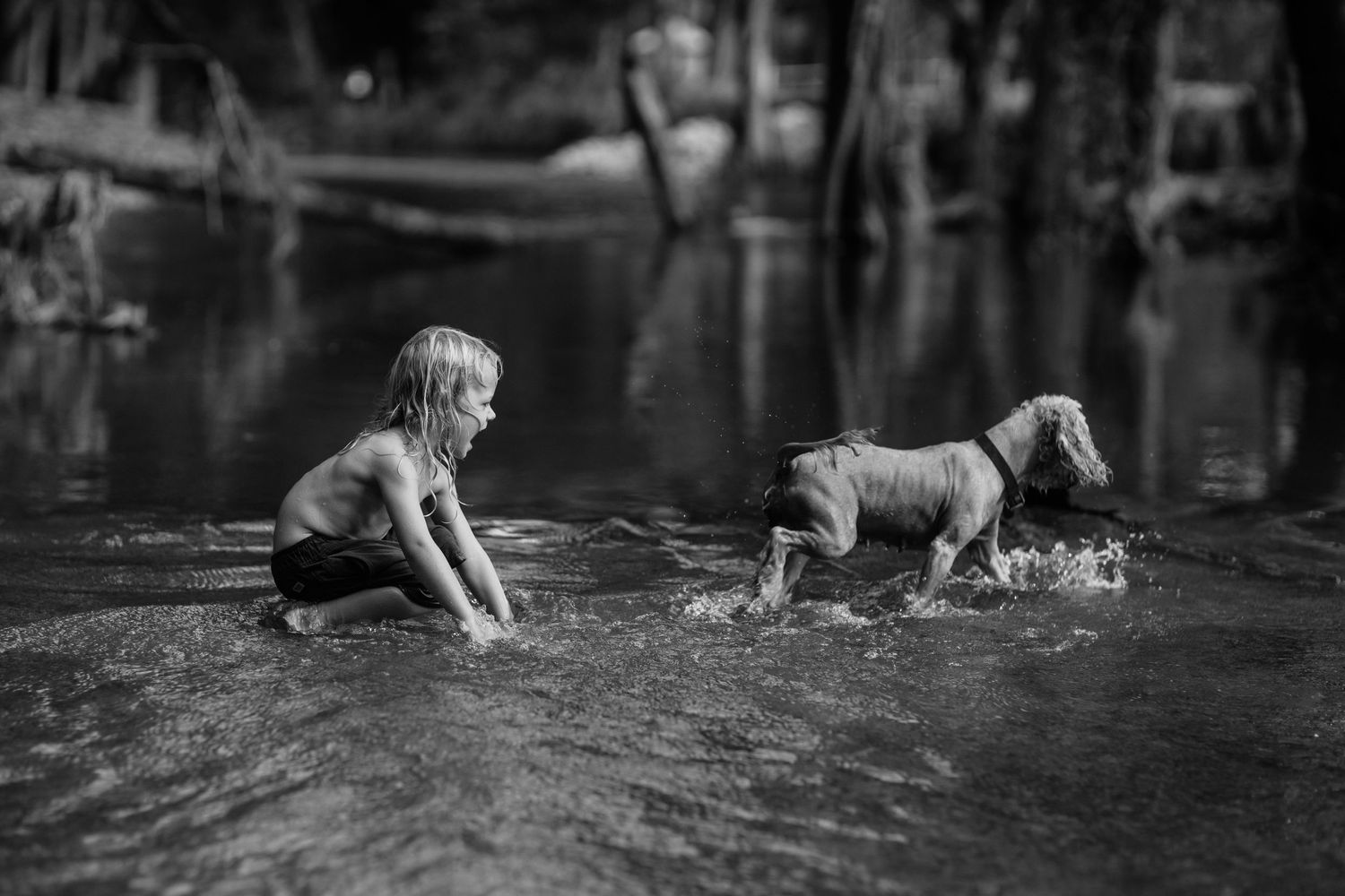 Silhouettes of kids playing in water against a forest backdrop during golden hour.Gold Coast candid family photographer.