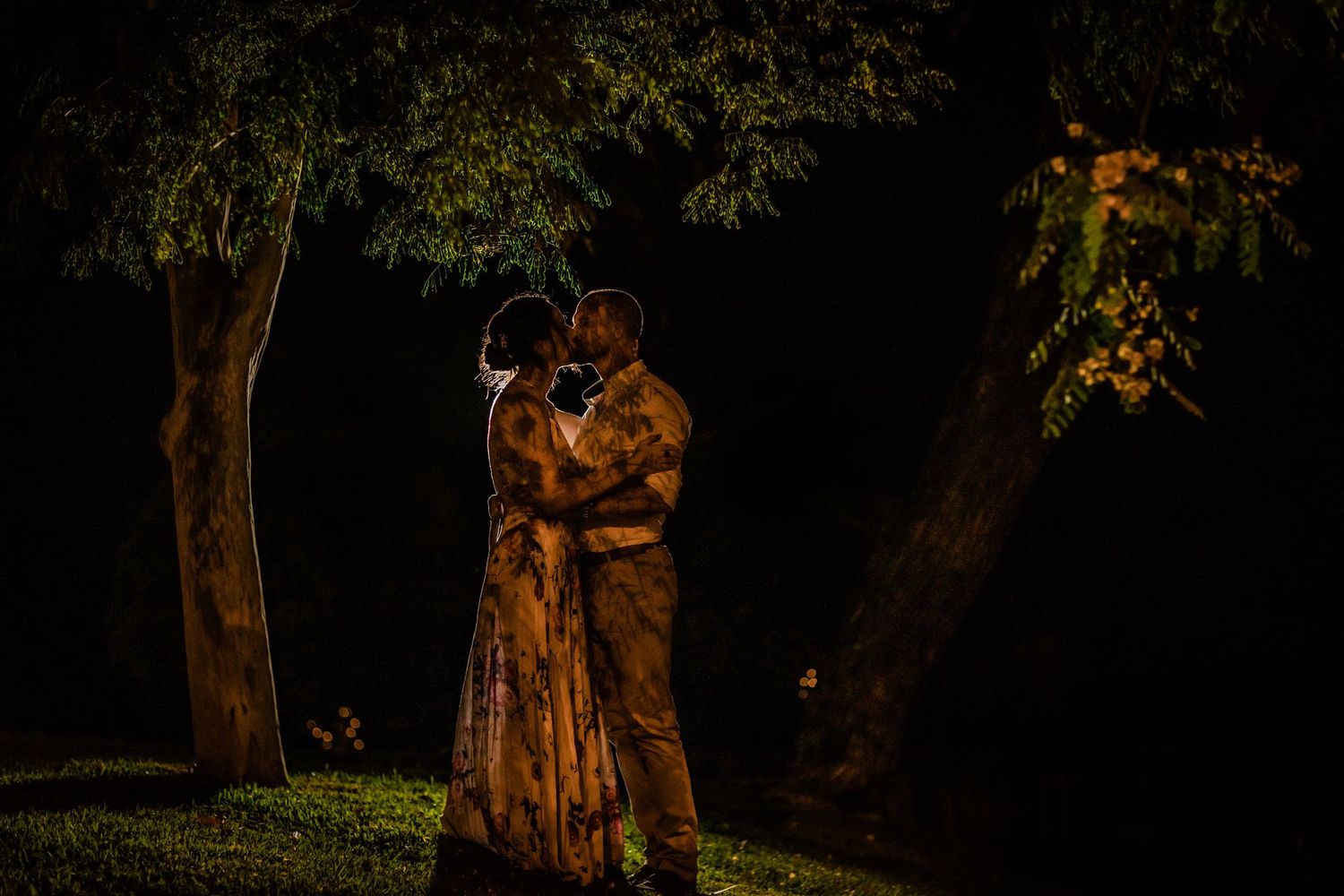 Nighttime gathering under trees with ambient lighting.