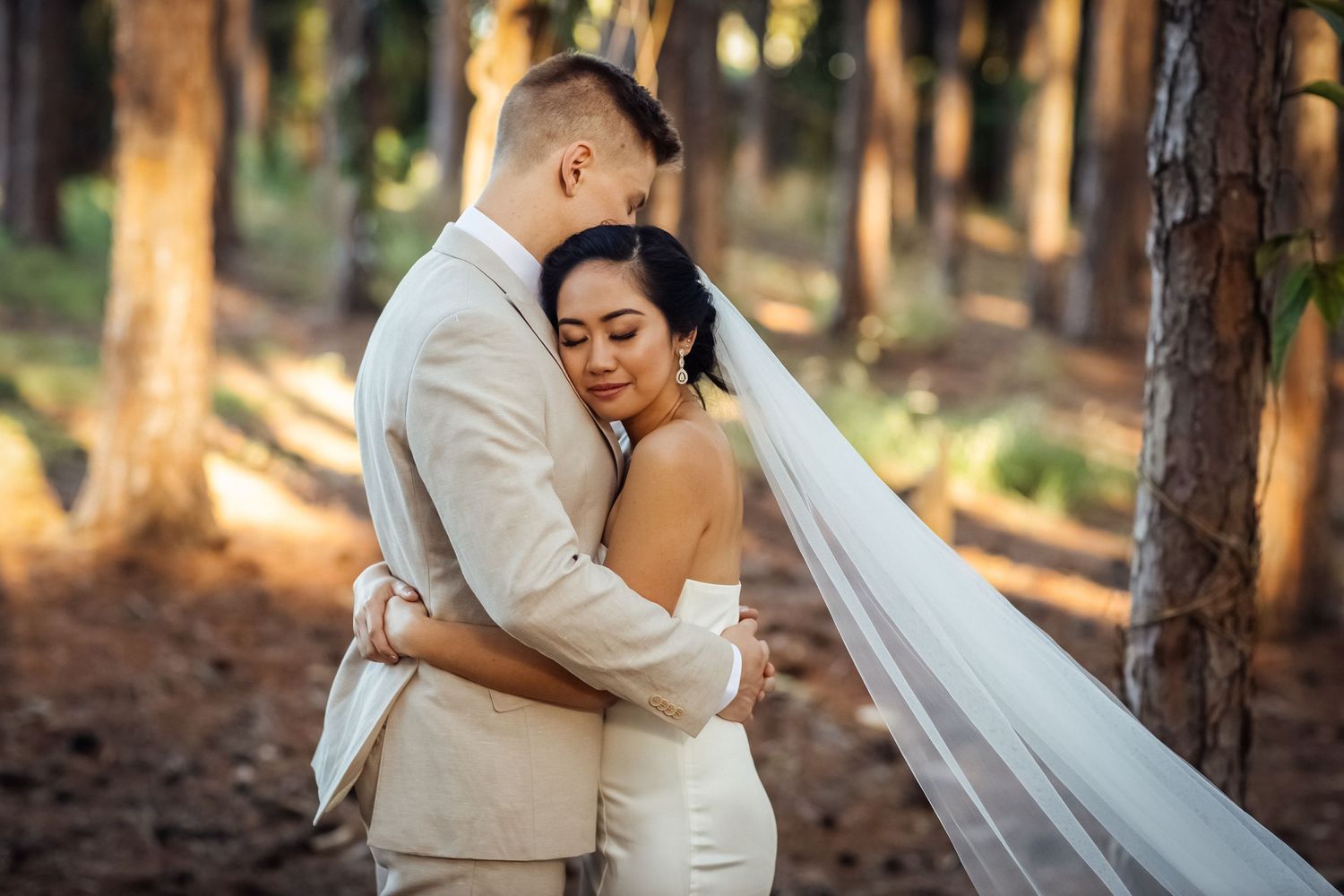 Newlyweds share romantic moment among tall pine trees at sunset.pizzey park wedding Gold Coast