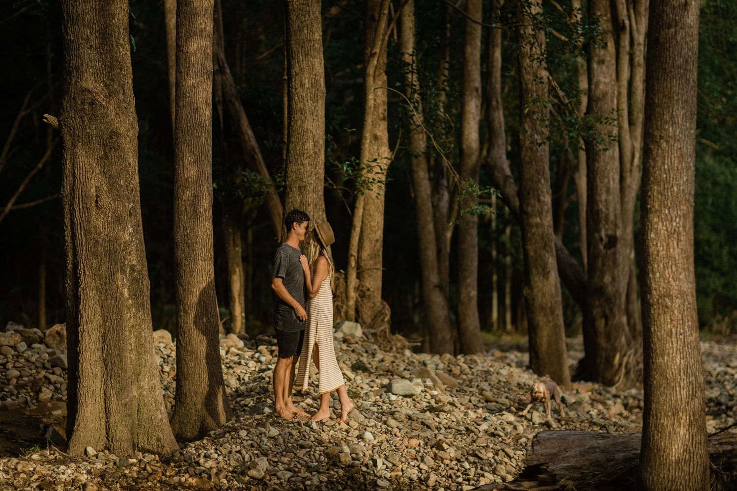 Wooded forest scene with tall trees creating natural shade and atmosphere.Gold Coast candid family photographer.