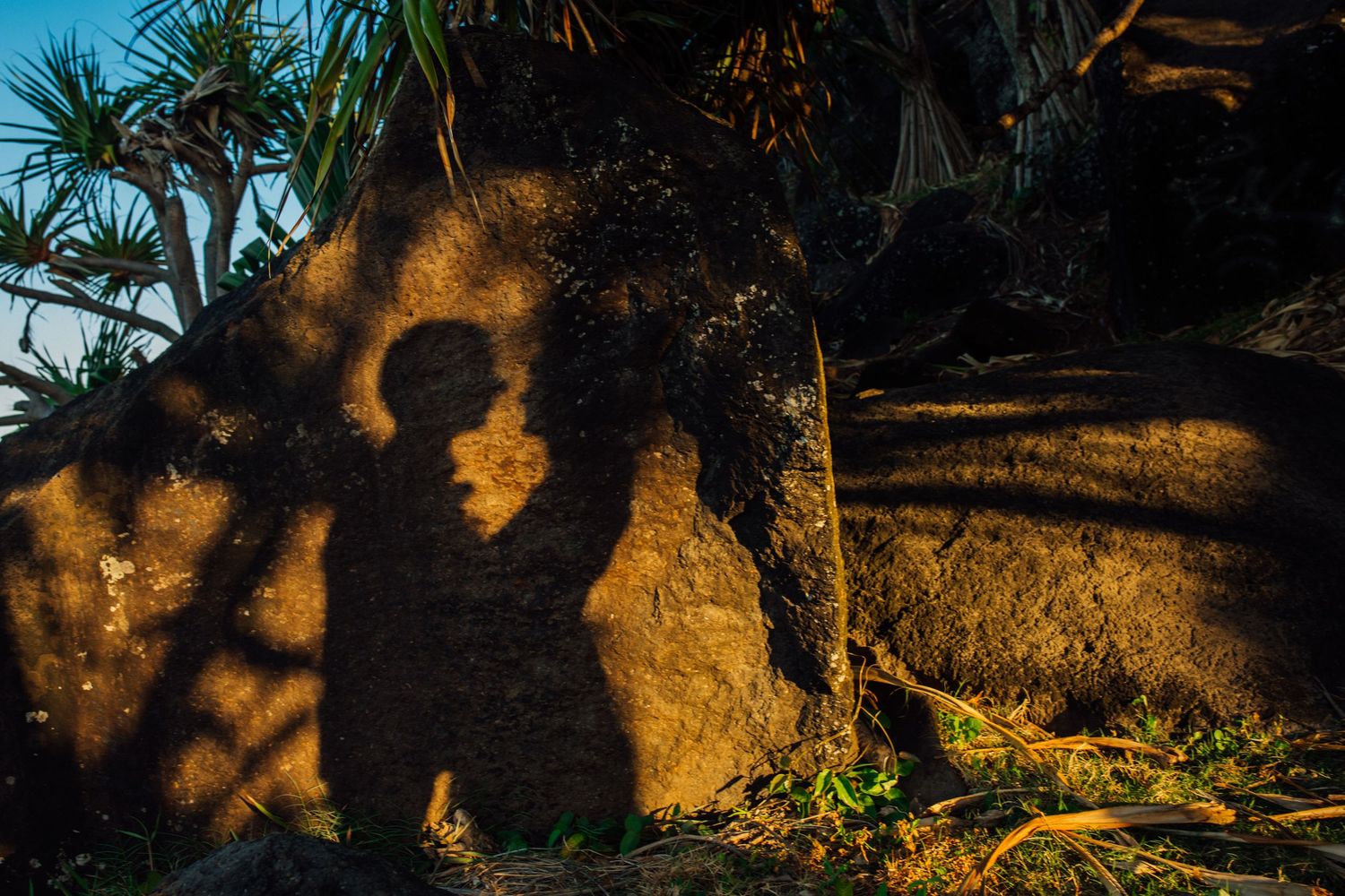 Silhouettes cast dramatic shadows on tropical foliage during golden hour.Gold Coast beach wedding photography. Froggies beach