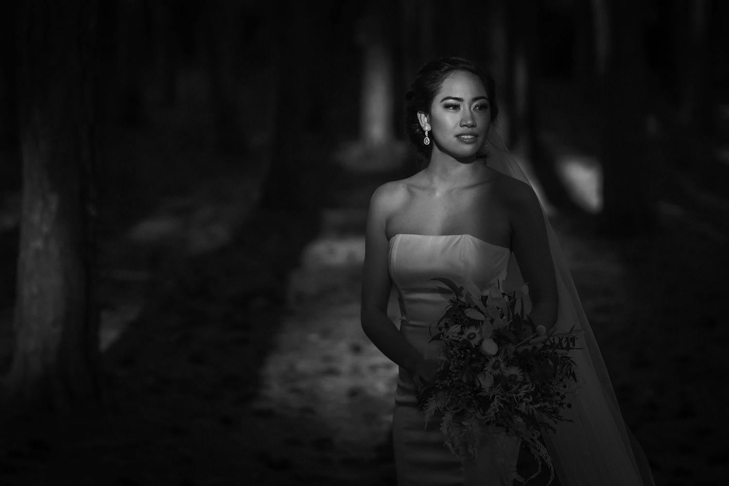 Moody black and white wedding portrait in atmospheric forest setting.pizzey park wedding Gold Coast