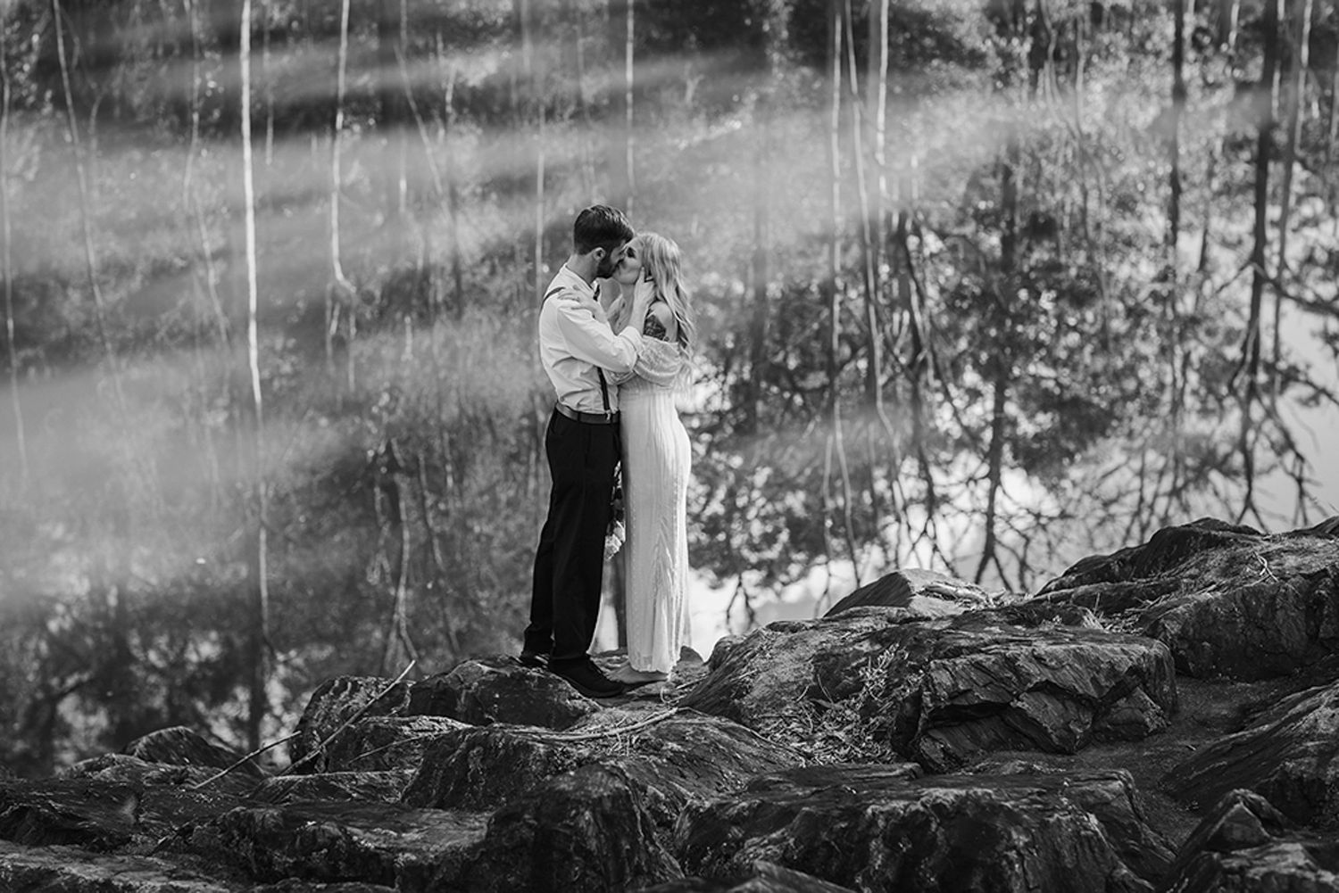 A black and white panoramic forest scene with a misty atmosphere and silhouetted trees in the background.