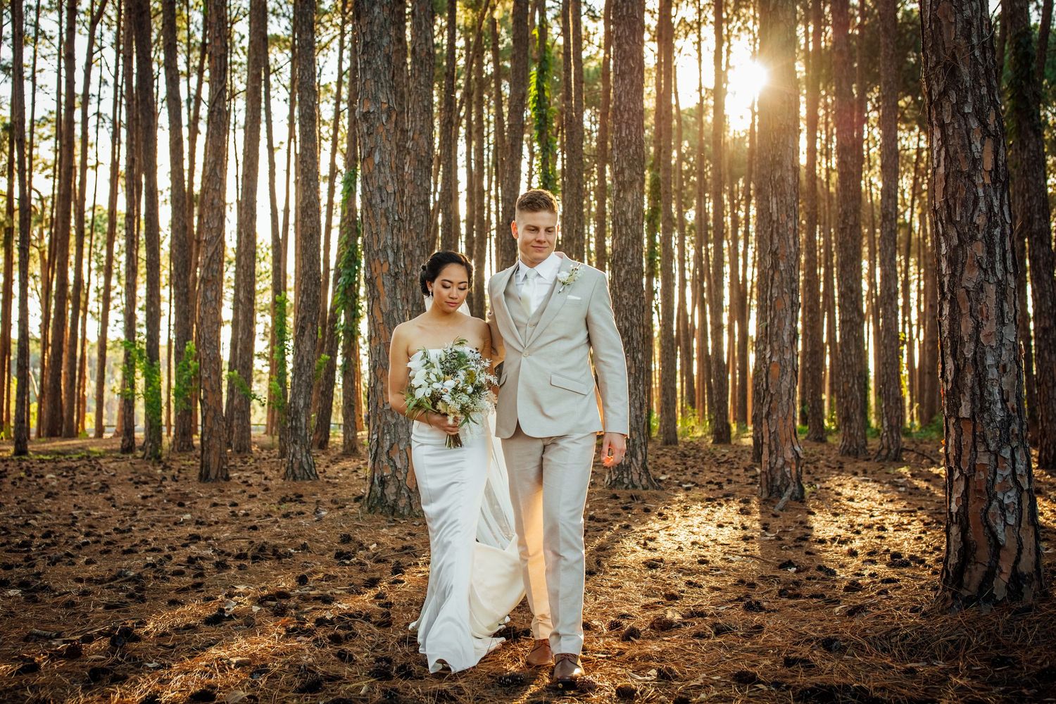 Golden sunlight streams through pine forest as couple poses for wedding photos.