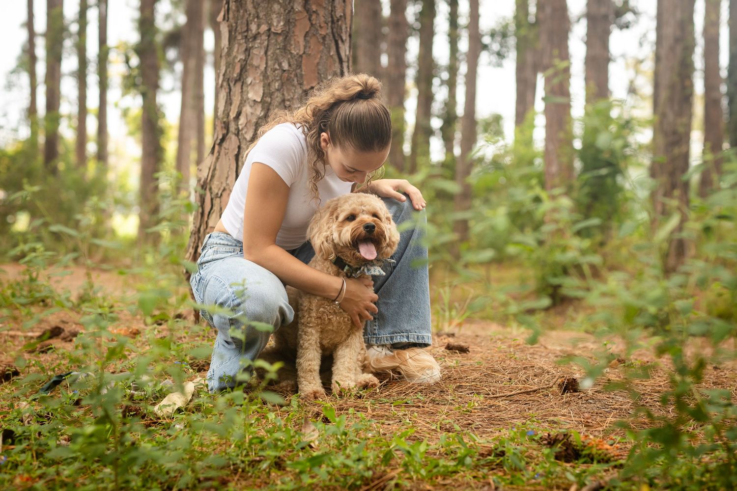 A small dog joins people for a relaxing afternoon in a sunlit forest.Pizzey park family photos. Gold Coast