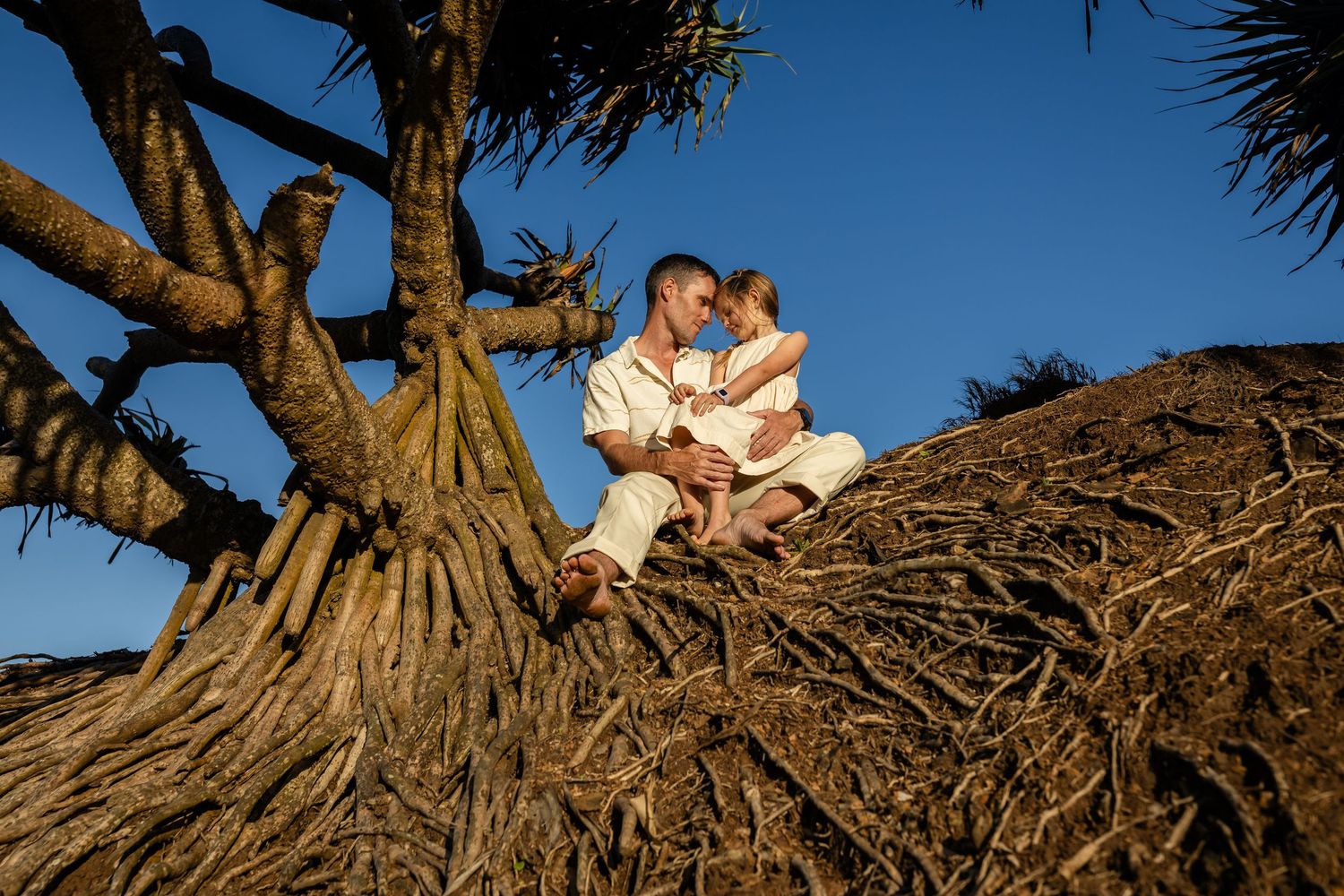 Large twisted tree branches stretch out over a beach at golden hour.Fingal head family photos -  New South Wales