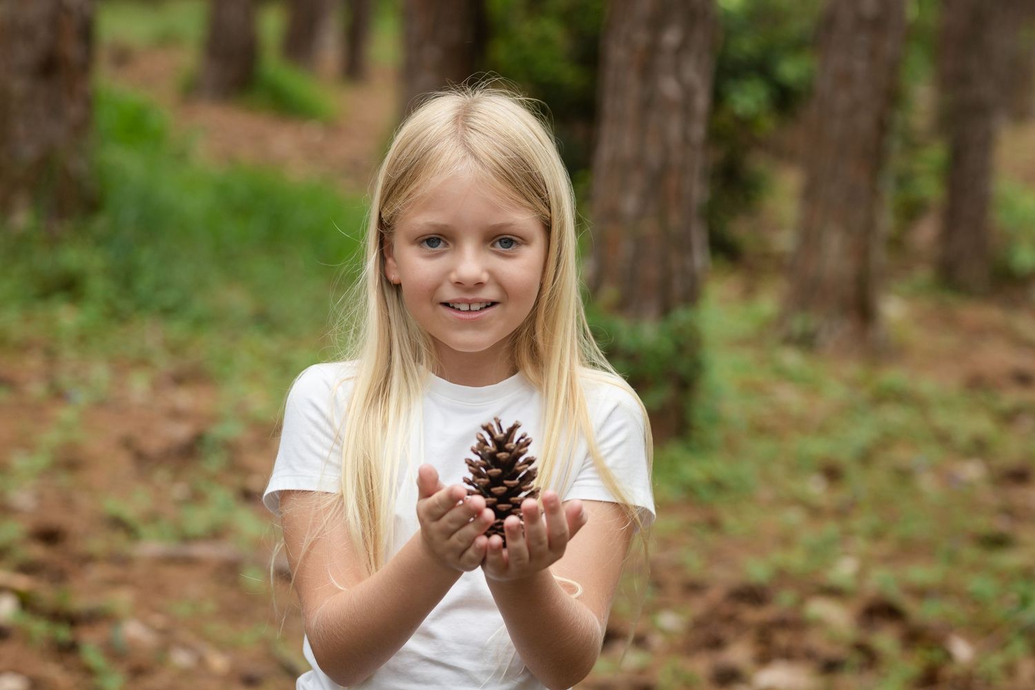 Person holding and examining a large pinecone in a forest setting.Pizzey park family photos. Gold Coast