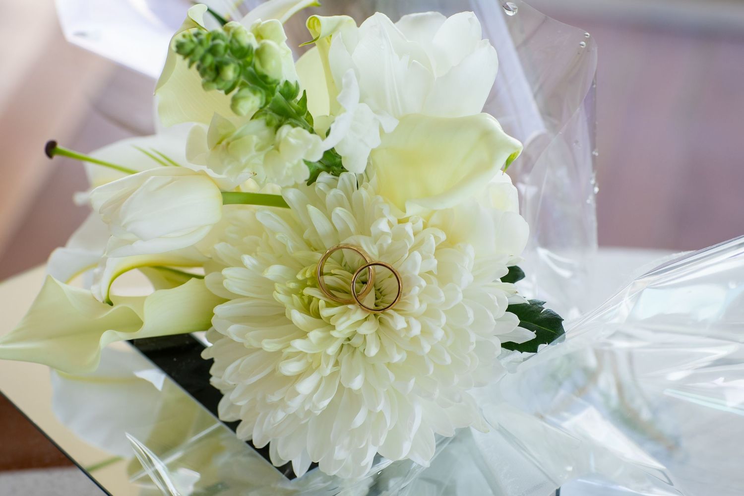 Delicate white dahlia flower in full bloom against a soft background.