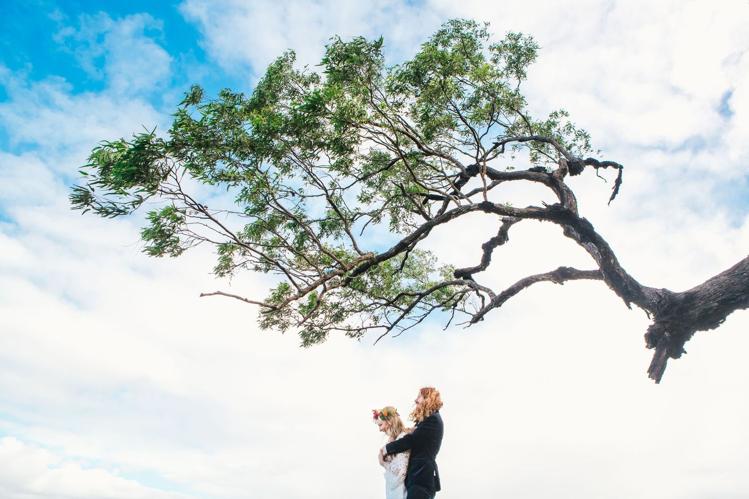 Artistic wedding portraits captured against a bright blue sky with twisted tree branches framing the scene.DIY wedding Gold Coast elopement