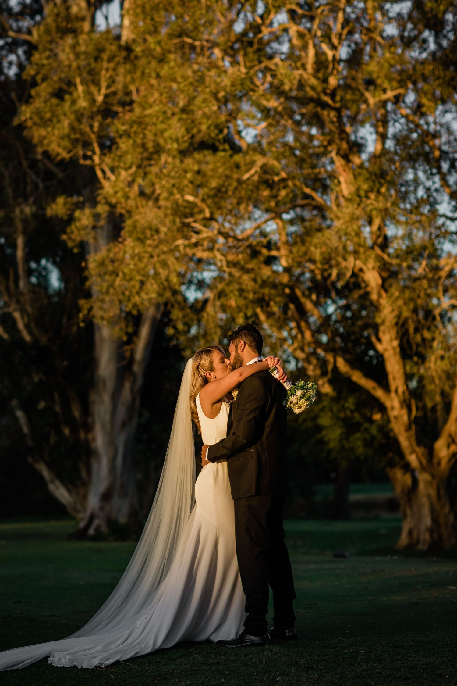 Sunset wedding portrait with couple embracing under golden-lit trees.