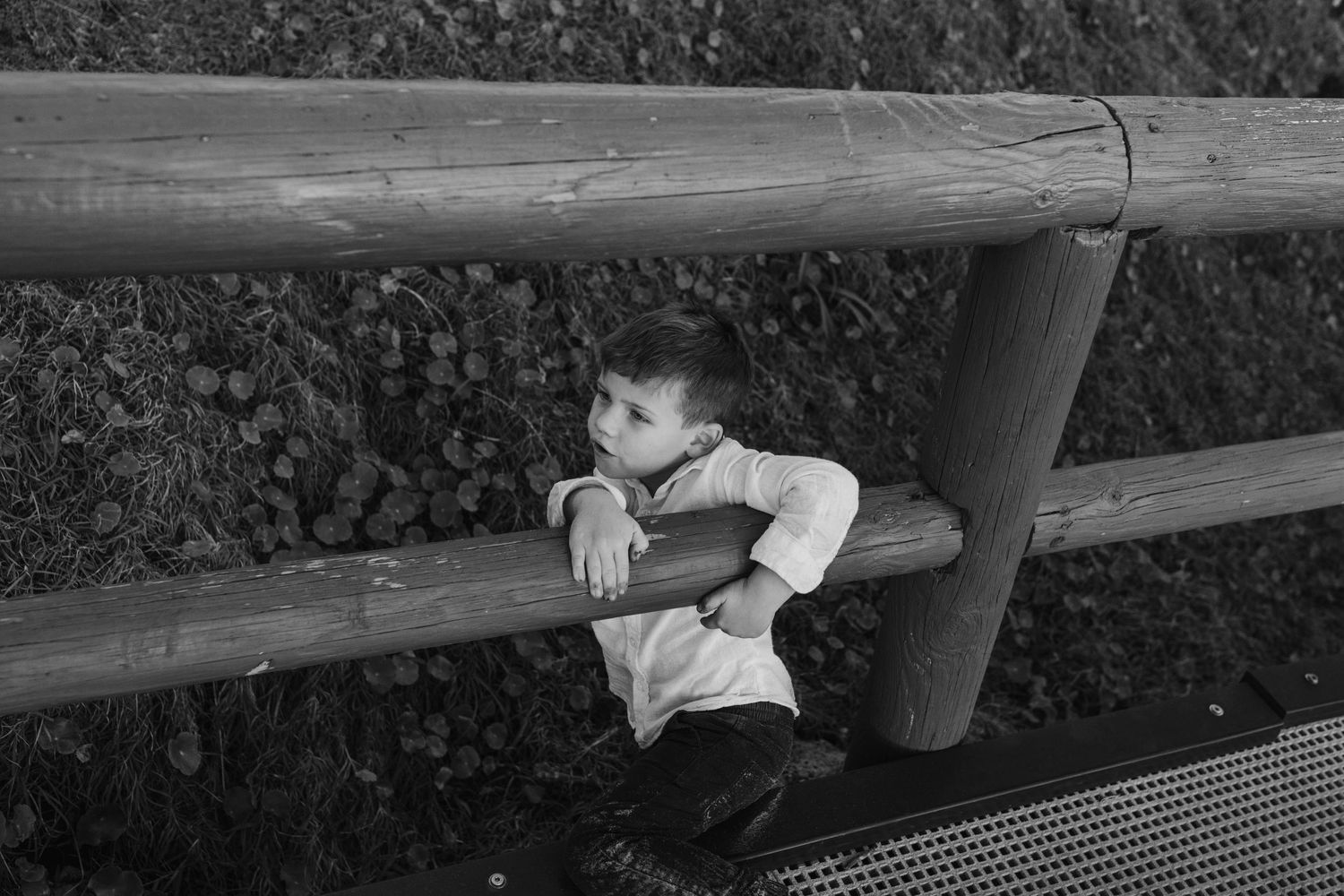 Children playing near a wooden fence in a natural setting.Gold Coast candid family photographer. Cabarita headland