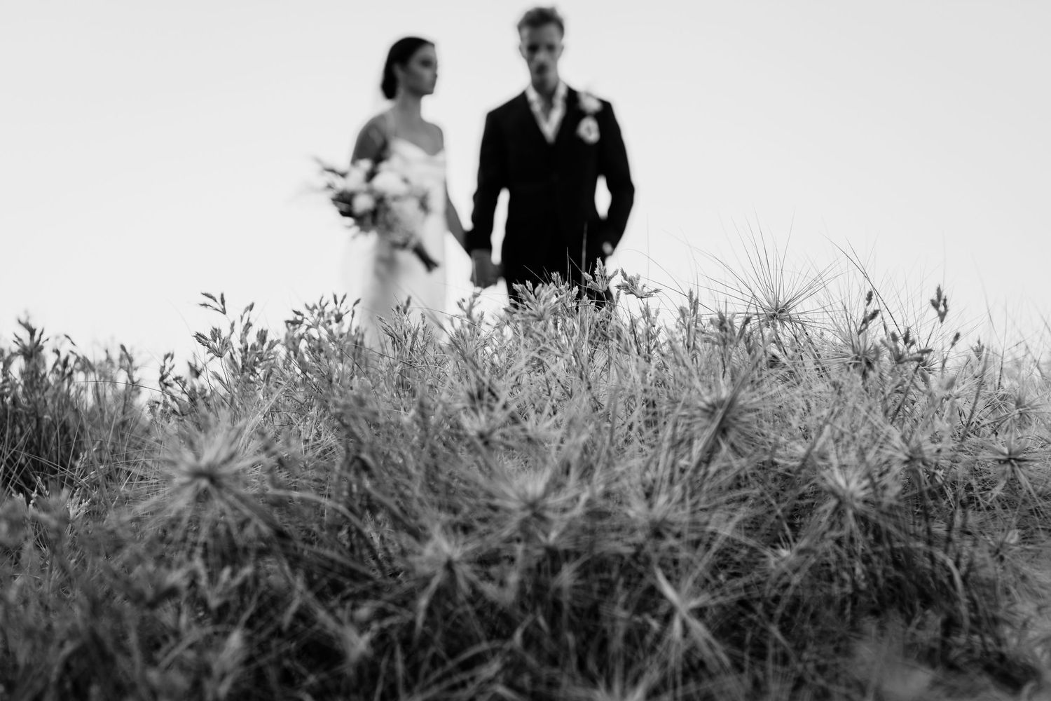 Wedding group stands together in a field of tall grass during golden hour.Miami Burleigh heads beach wedding