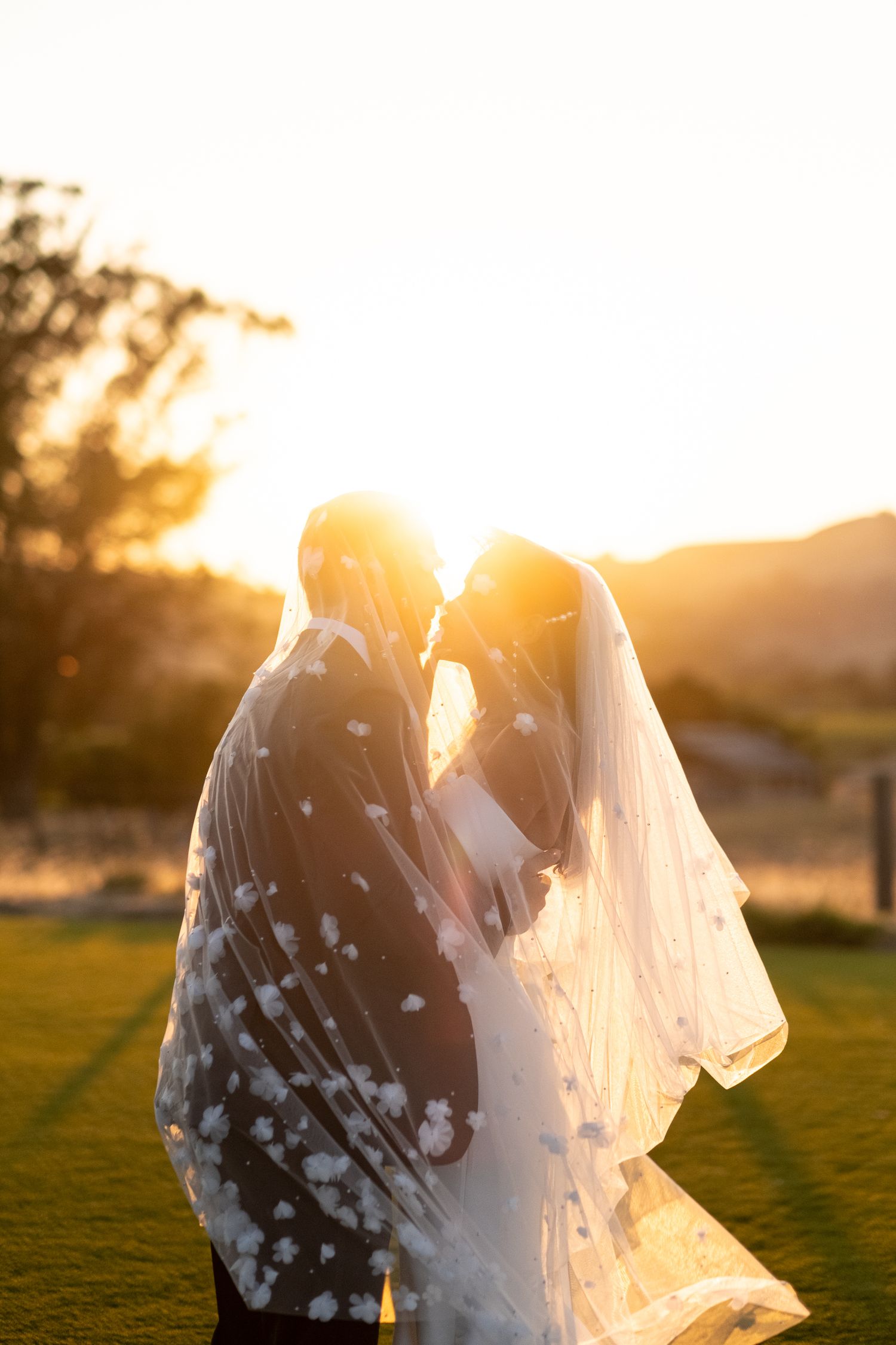 Romantic backlit sunset portrait of newlyweds wrapped together under a floral embroidered veil.