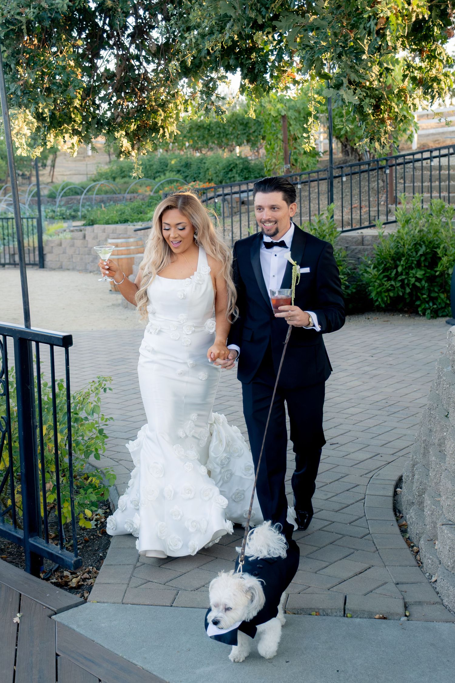 Smiling newlyweds walk their white dog dressed in a tuxedo while holding cocktails at their outdoor wedding reception.