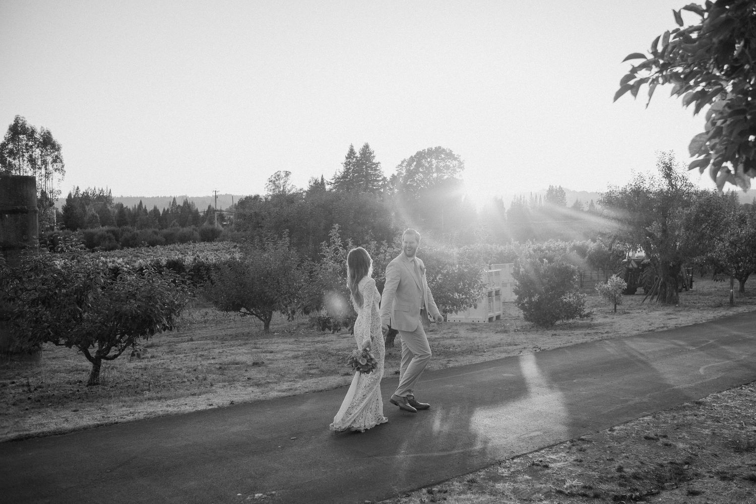 Black and white photo of bride and groom walking hand in hand at sunset through an orchard.