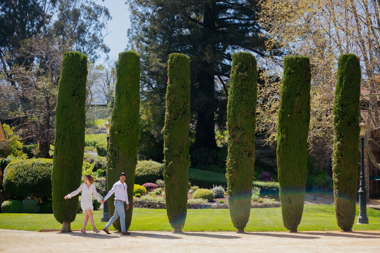 Couple walking hand in hand through a manicured garden lined with tall cypress trees.