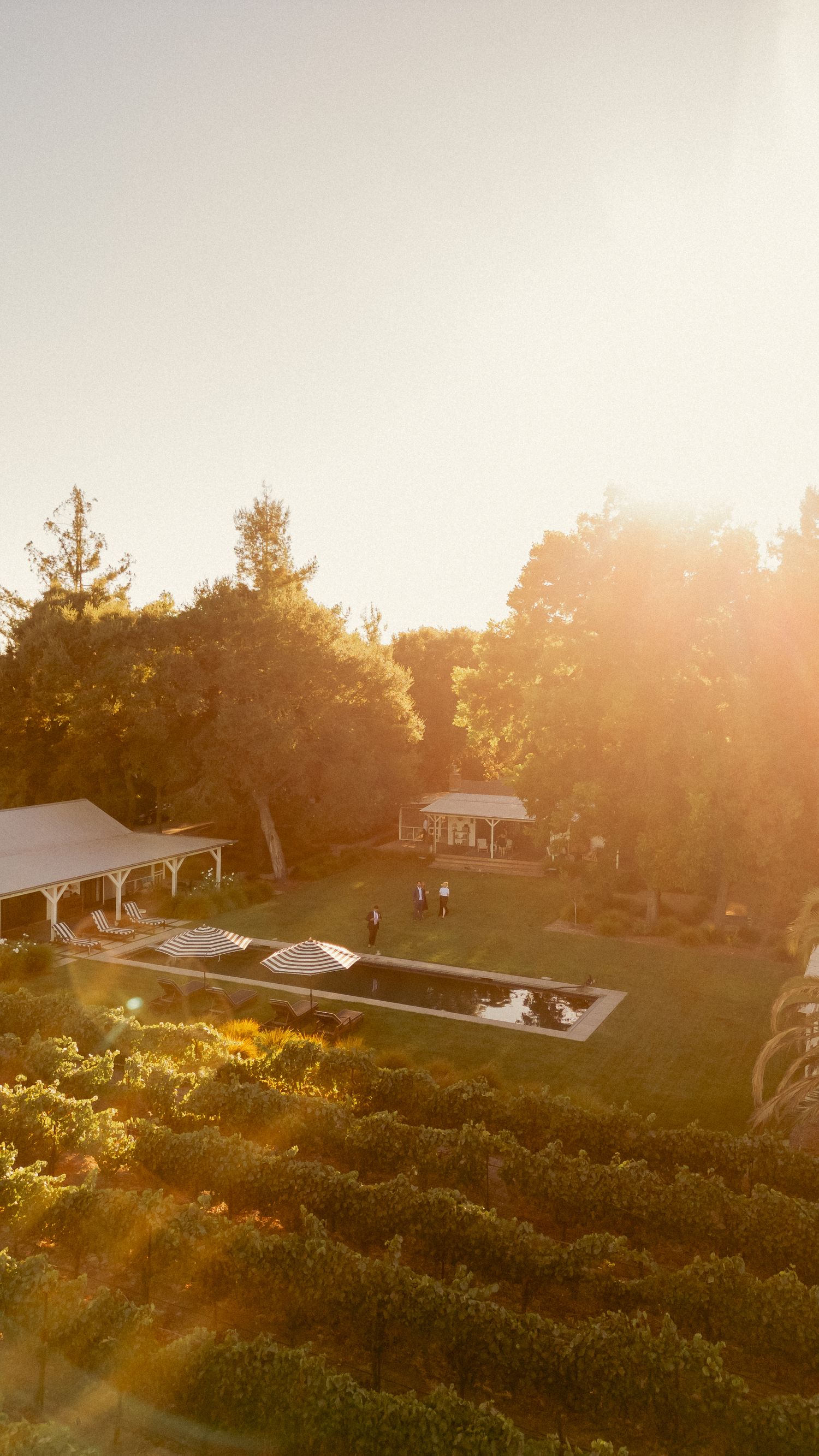Golden sunset aerial view of elegant wedding venue with pool, pavilion, and vineyard grounds.