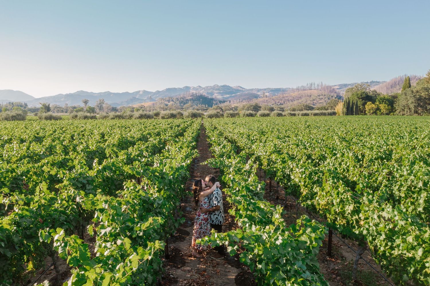 Woman walking through lush green vineyard rows with mountains and clear blue sky in the background.