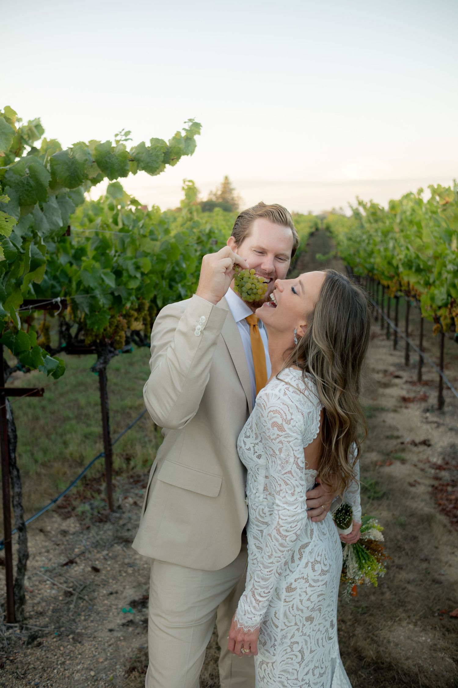 Bride and groom playfully eating grapes together in lush vineyard at golden hour.