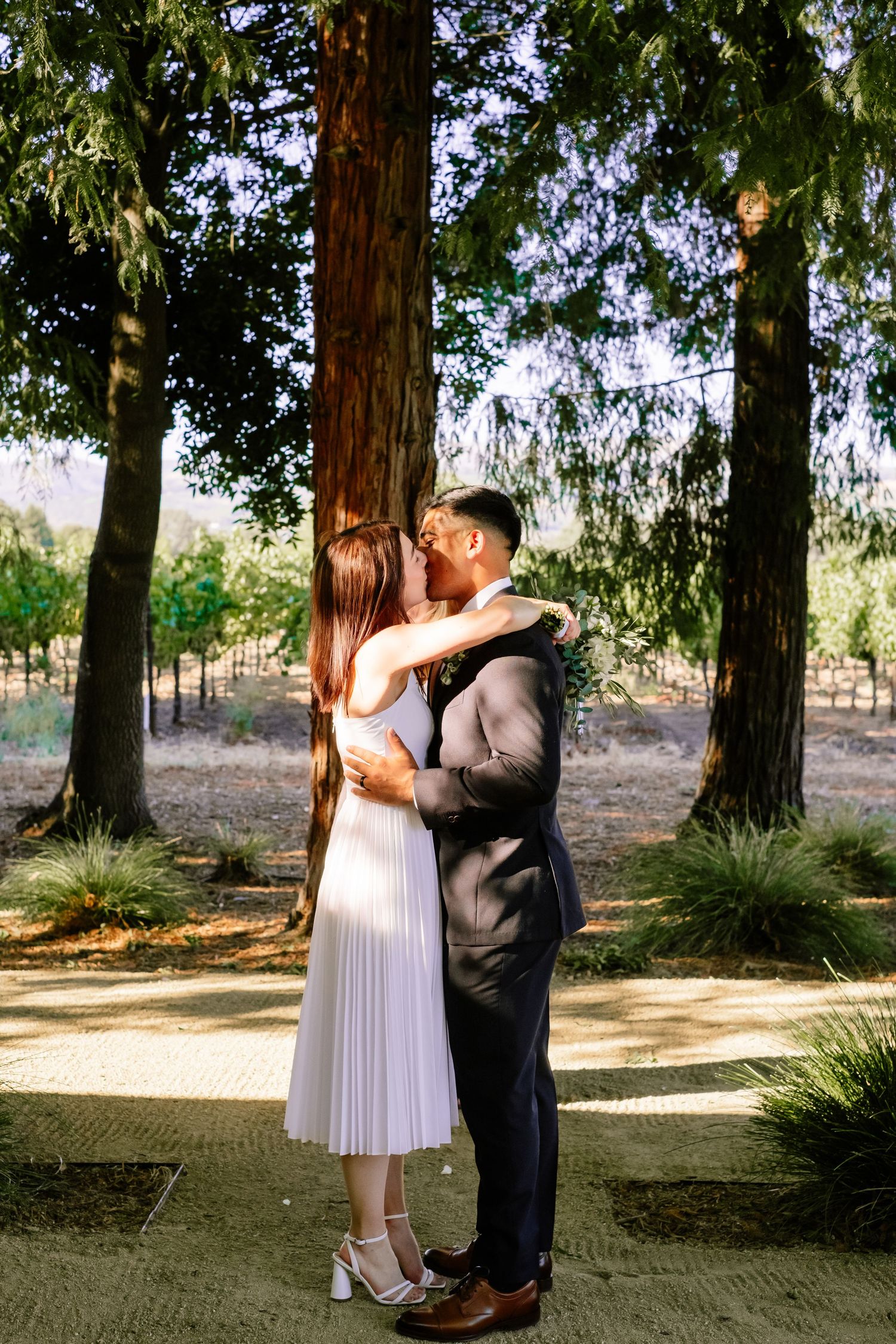 Bride and groom sharing first kiss under tall redwood trees at outdoor vineyard wedding ceremony.