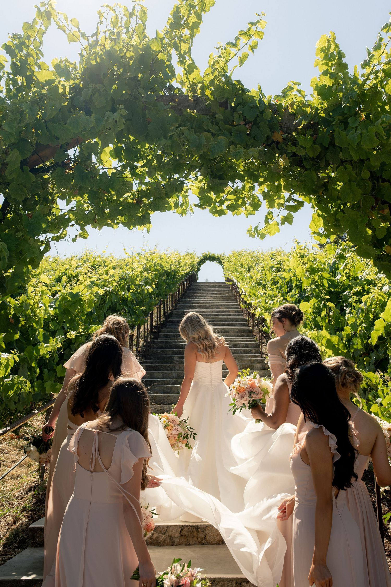 Bridesmaids in blush gowns carry bride's train up stone staircase lined with lush vineyard grapevines.