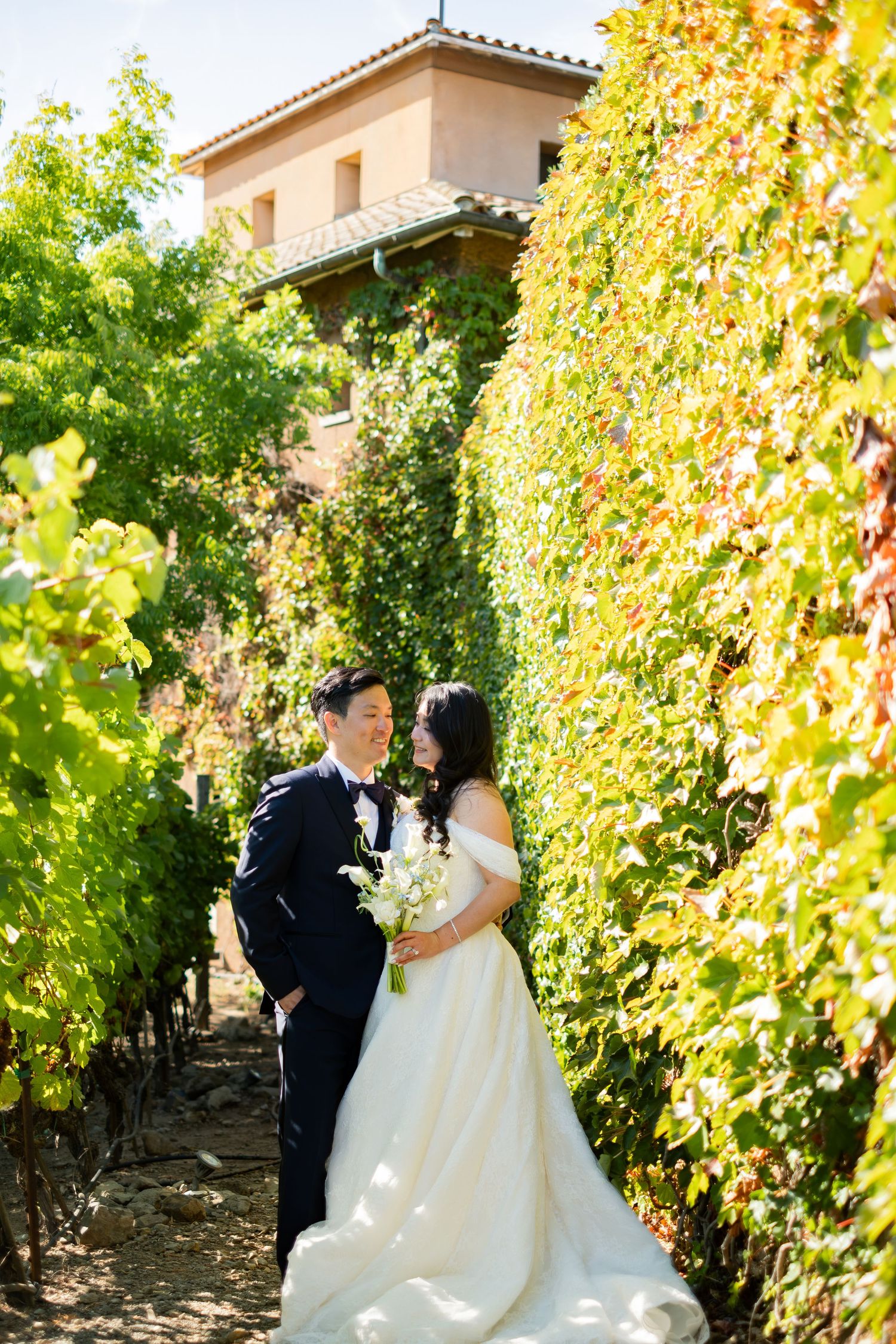 Asian bride and groom share a romantic moment among vibrant green and golden vineyard vines at their winery wedding.