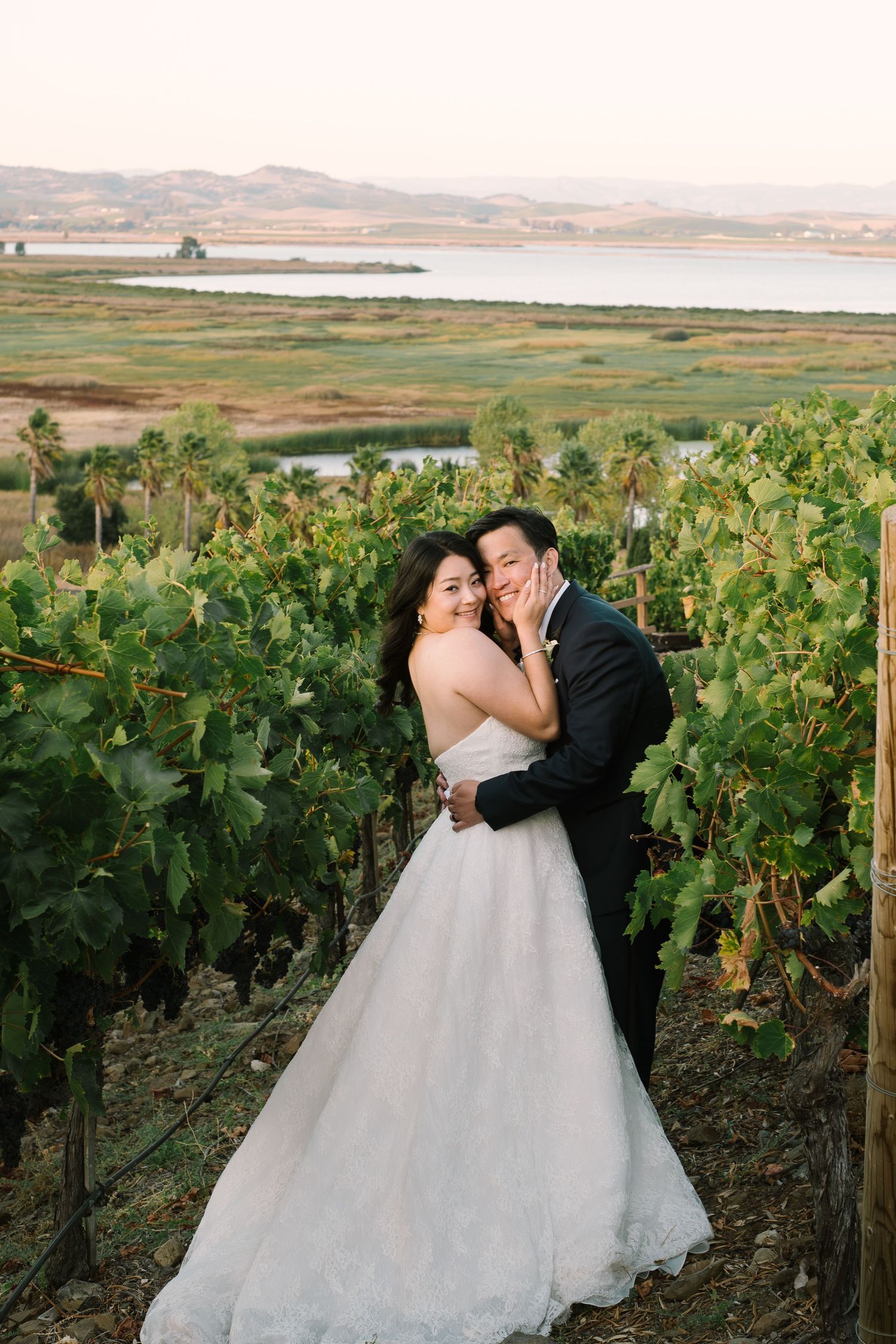 Bride and groom embrace romantically among lush green vineyard rows with bay views behind them.