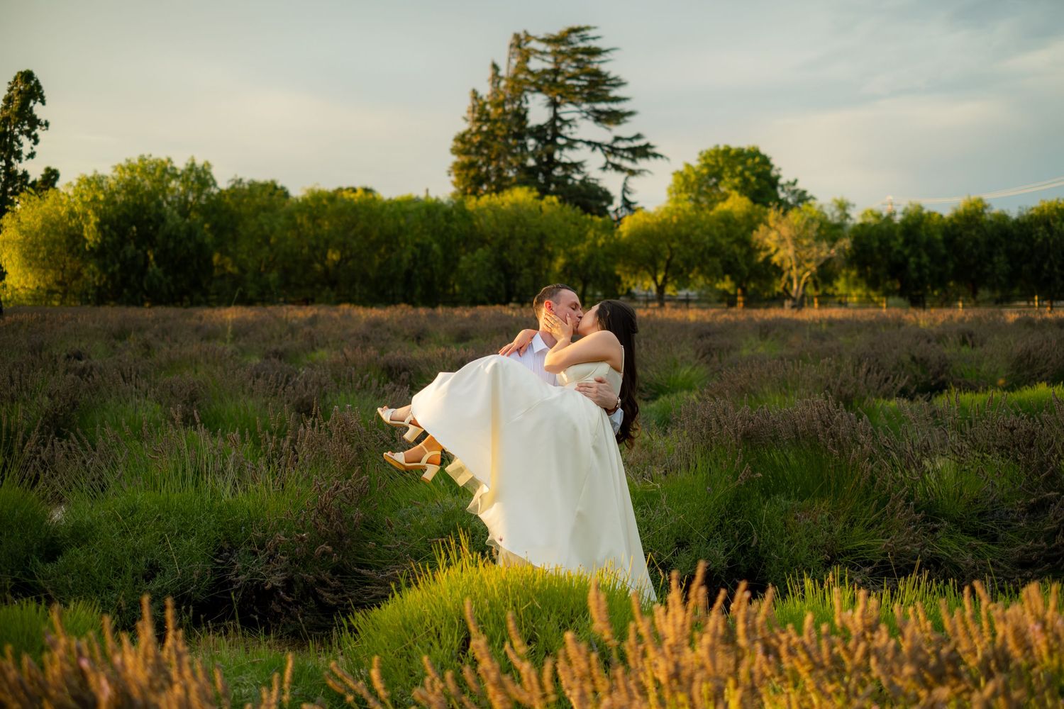 Groom lifting bride in a white wedding gown for a kiss in a golden lavender field at sunset.