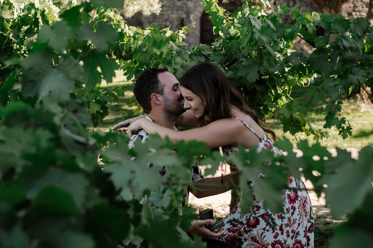 Romantic couple embracing and kissing among green grapevines in a sunlit vineyard.