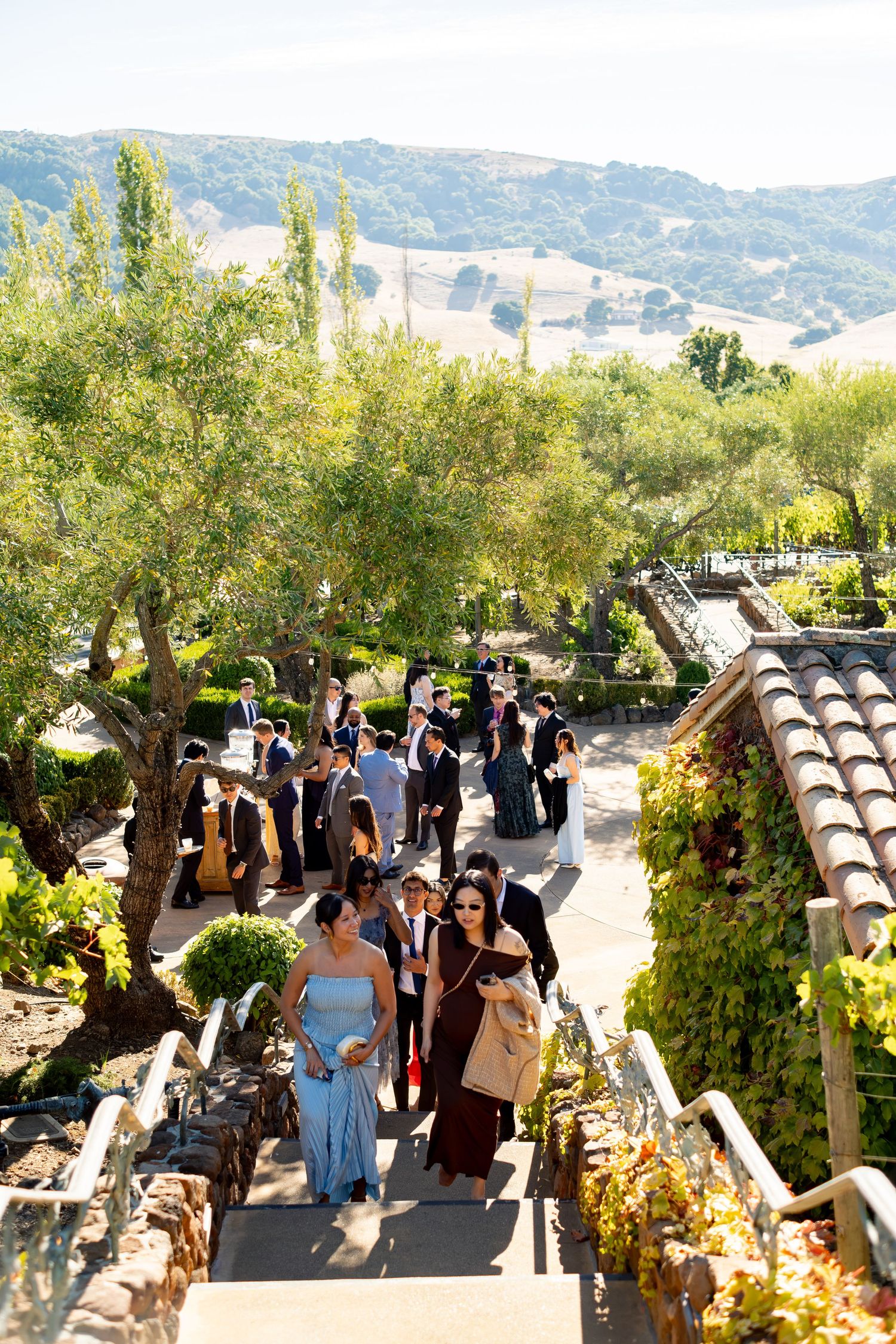 Wedding guests mingle and walk down stone steps in a scenic vineyard garden setting.