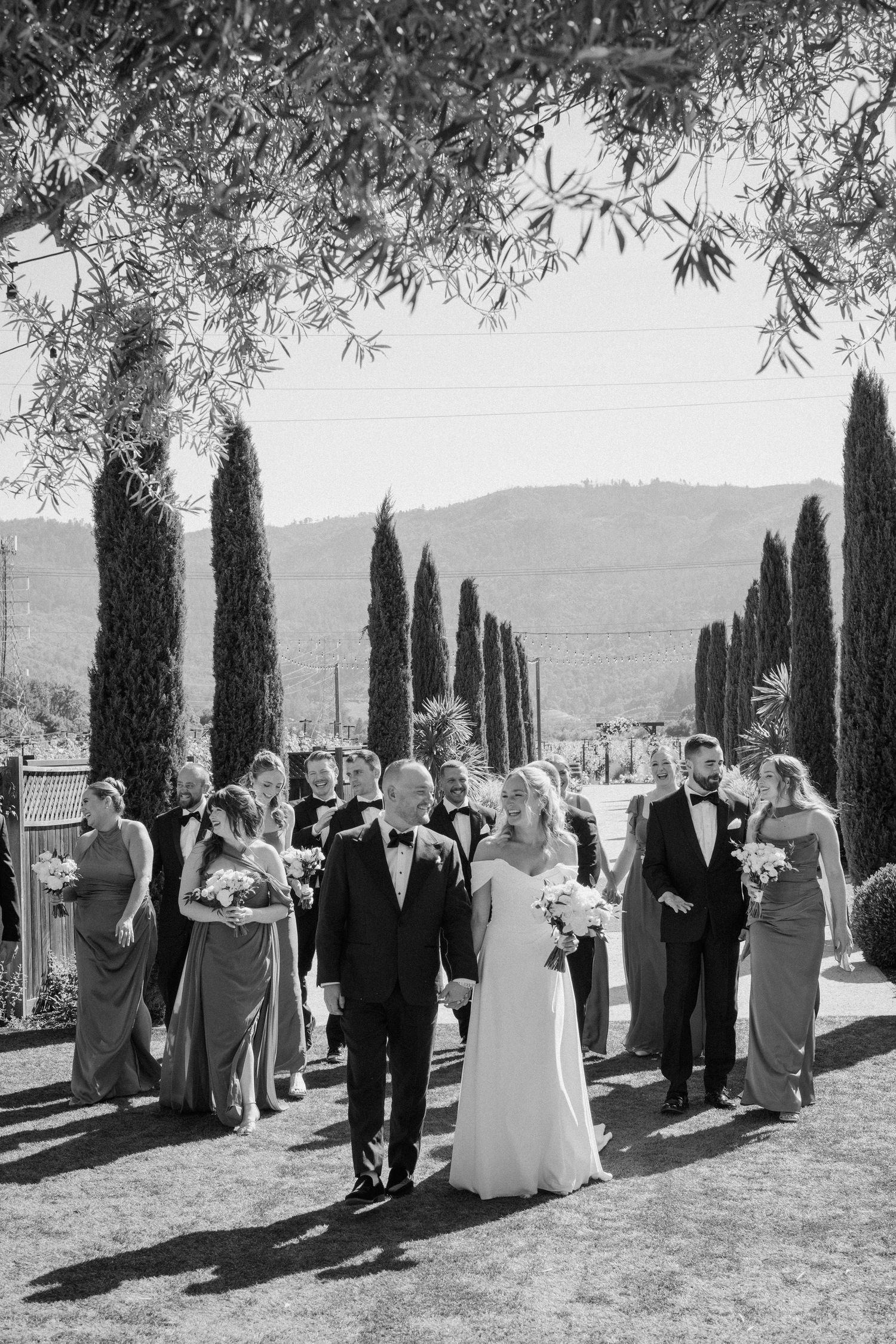 Black and white photo of bride and groom leading wedding party along cypress tree-lined path at vineyard venue.