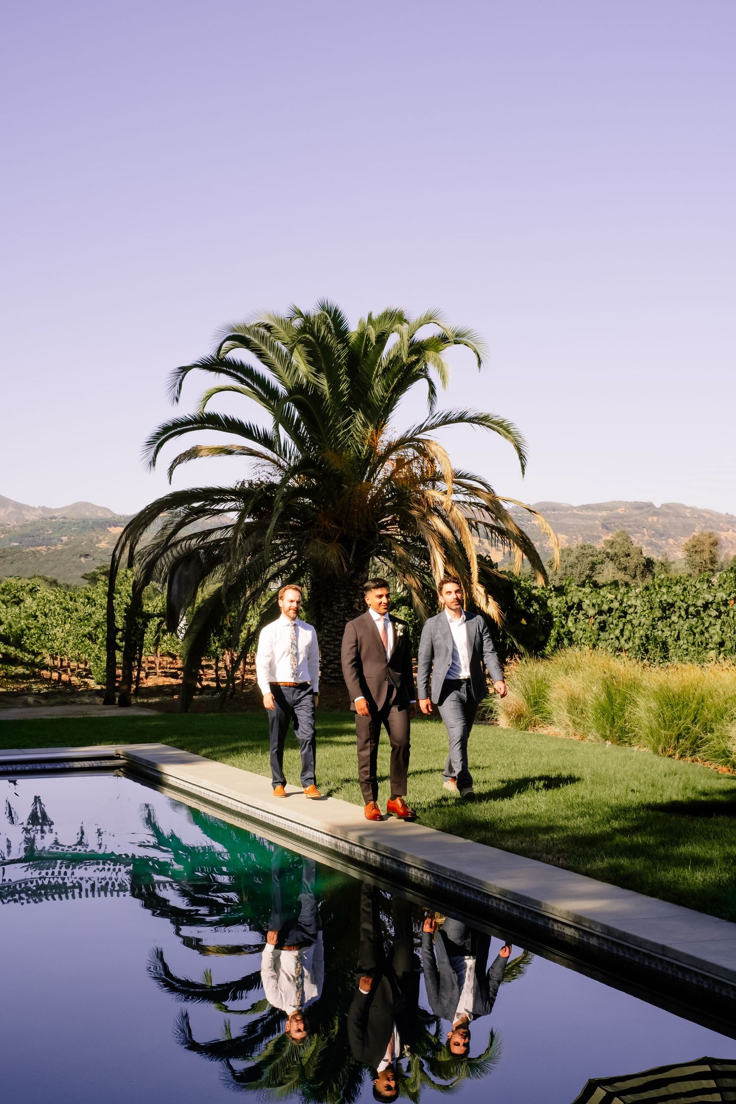 Three groomsmen in suits walk beside reflective pool with palm tree and vineyard backdrop.