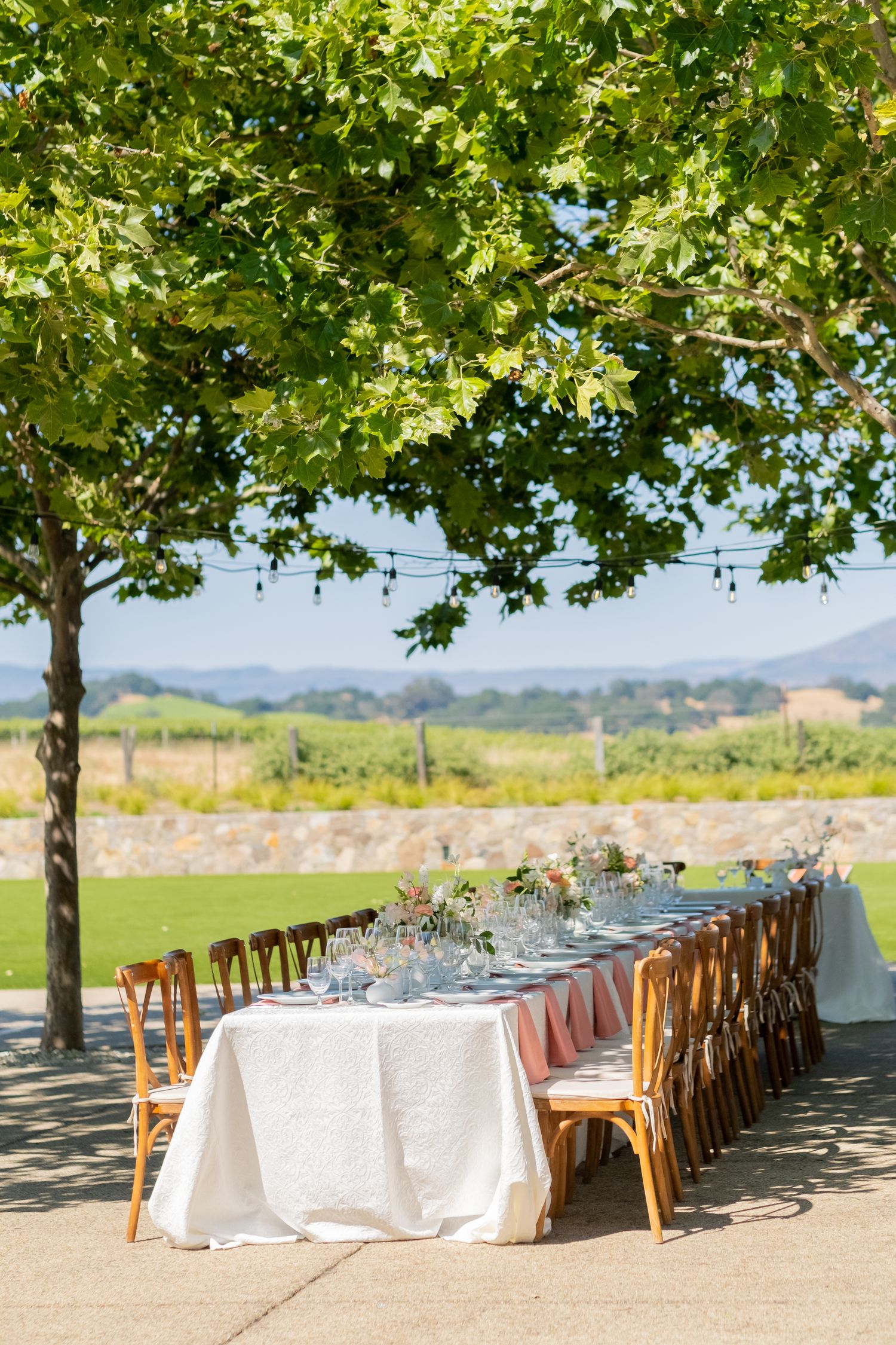 Outdoor wedding reception long table with white linen and floral centerpieces under green tree with mountain views.