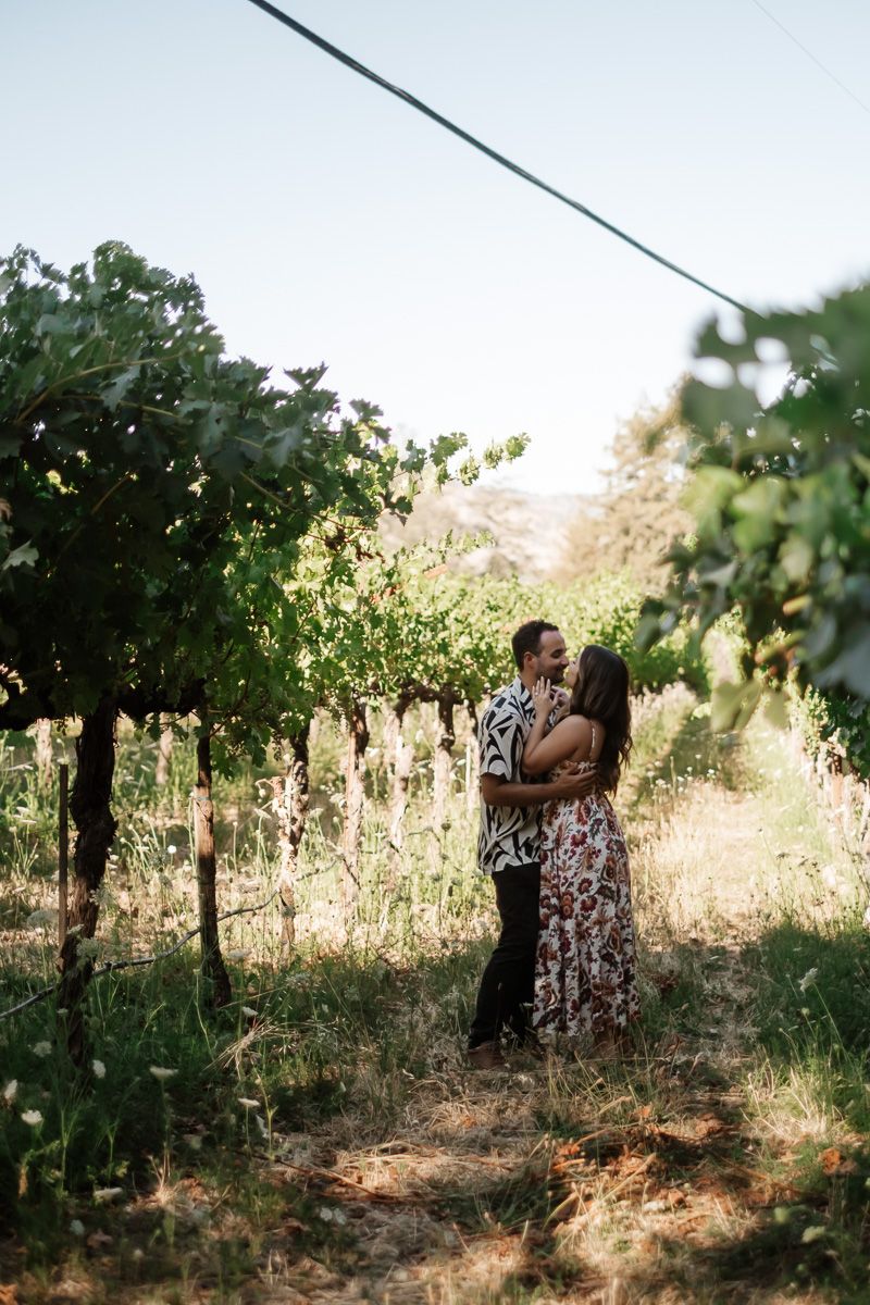 Couple embracing romantically among lush green vineyard rows in summer.