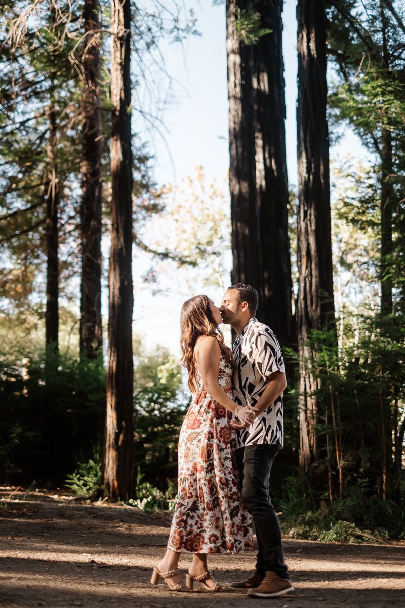 Couple kissing in a sunlit redwood forest surrounded by tall trees.