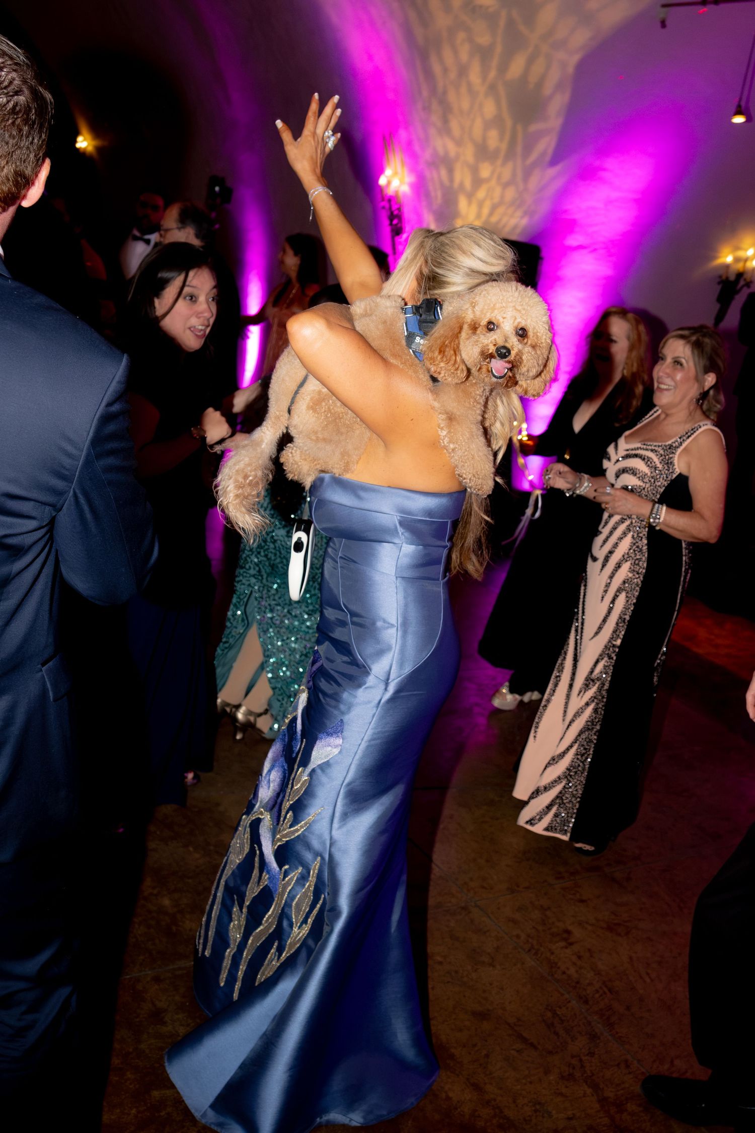 Wedding guest in blue gown dancing with adorable goldendoodle dog at reception.