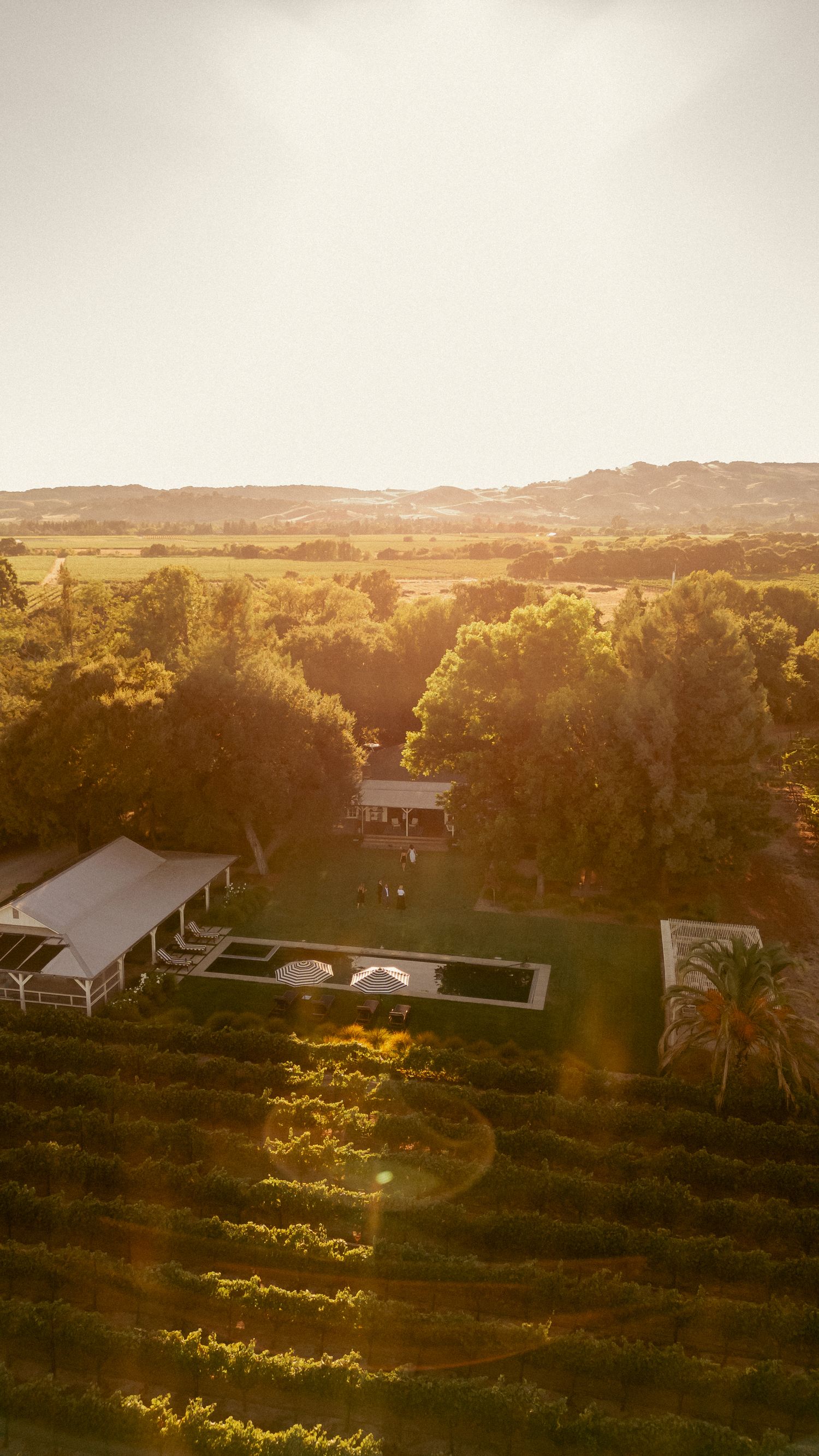 Aerial sunset view of vineyard estate with pool and rolling hills in background.