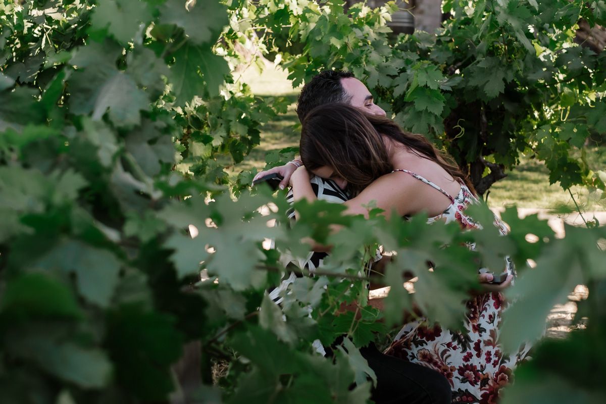 Couple sharing a tender embrace partially hidden among lush green vineyard leaves.