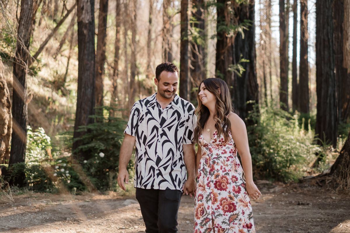 Happy couple holding hands and walking together along a sunlit path through tall redwood forest trees.