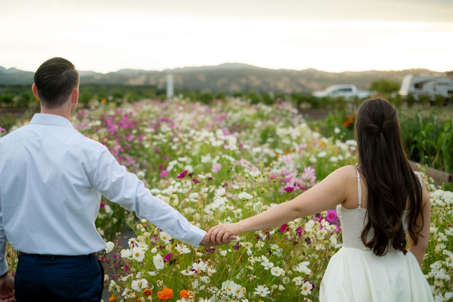 Couple holding hands walking through a colorful wildflower field at sunset with mountains in the background.