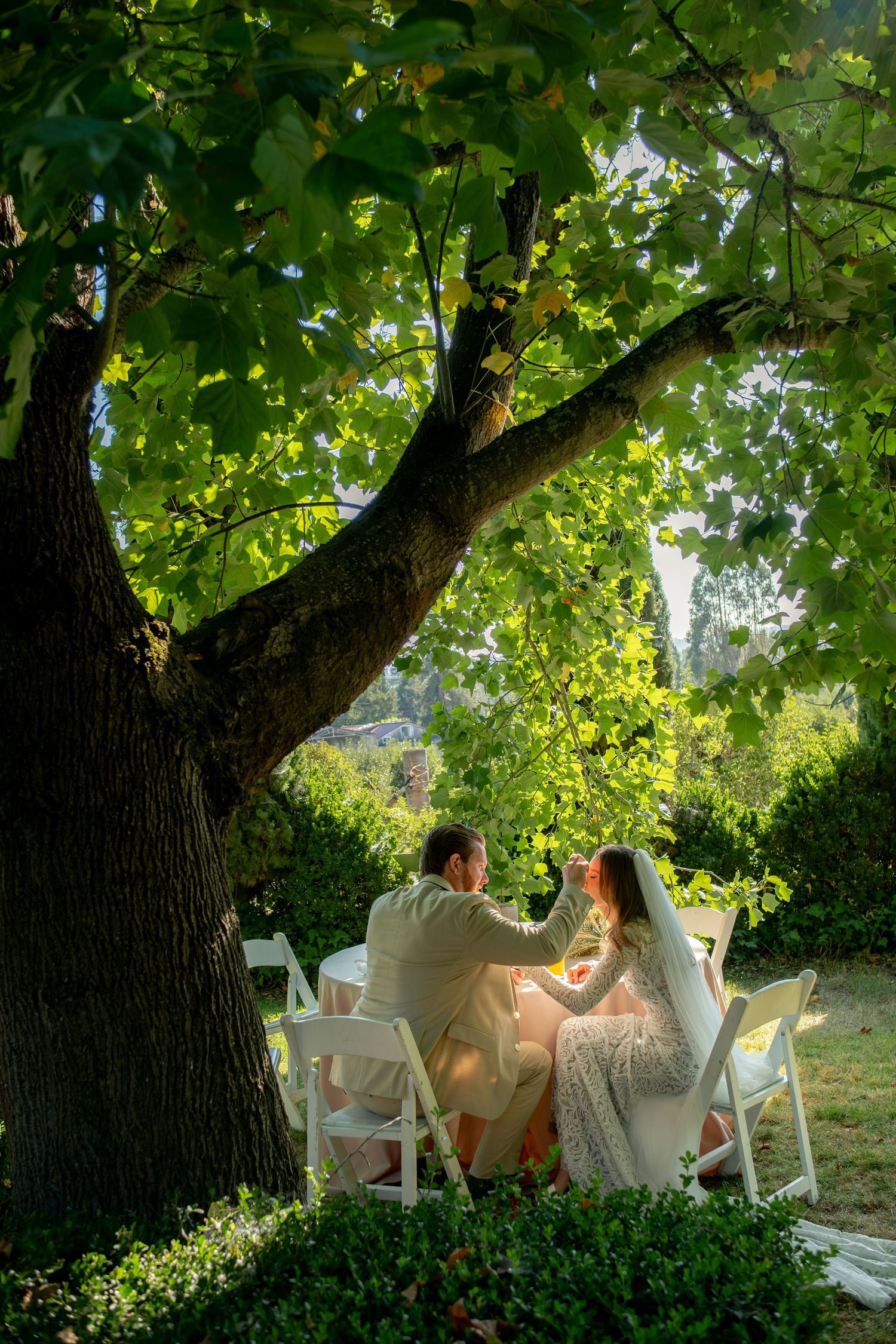Bride and groom share an intimate moment at a table under a large green tree in a sunlit garden.