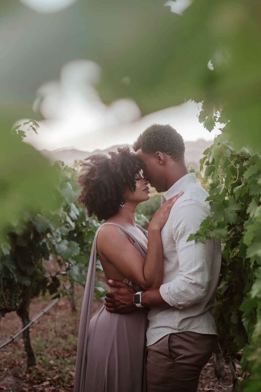 A romantic Black couple embraces intimately among lush green vineyard vines at golden hour.