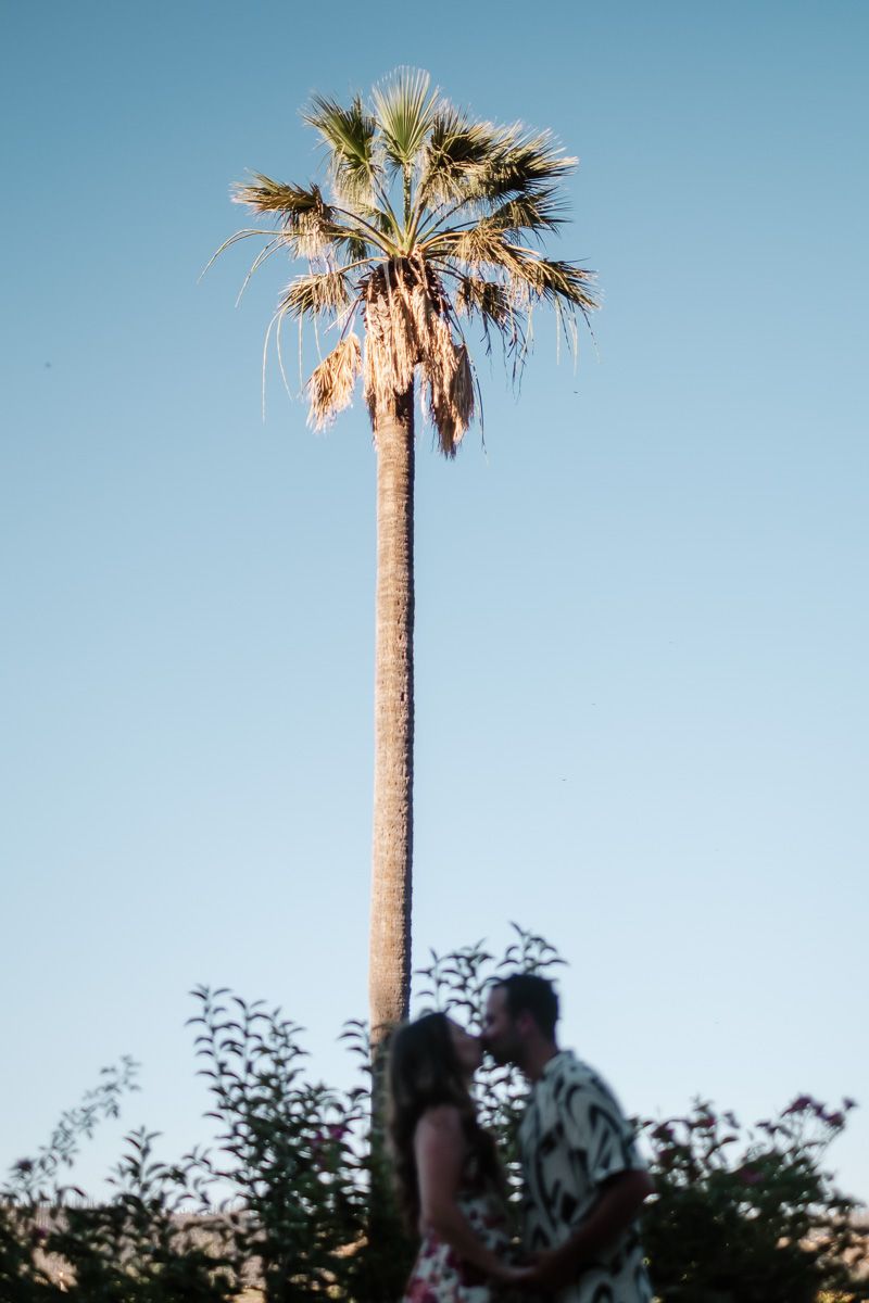 Couple sharing a romantic kiss beneath a tall palm tree against a clear blue sky.