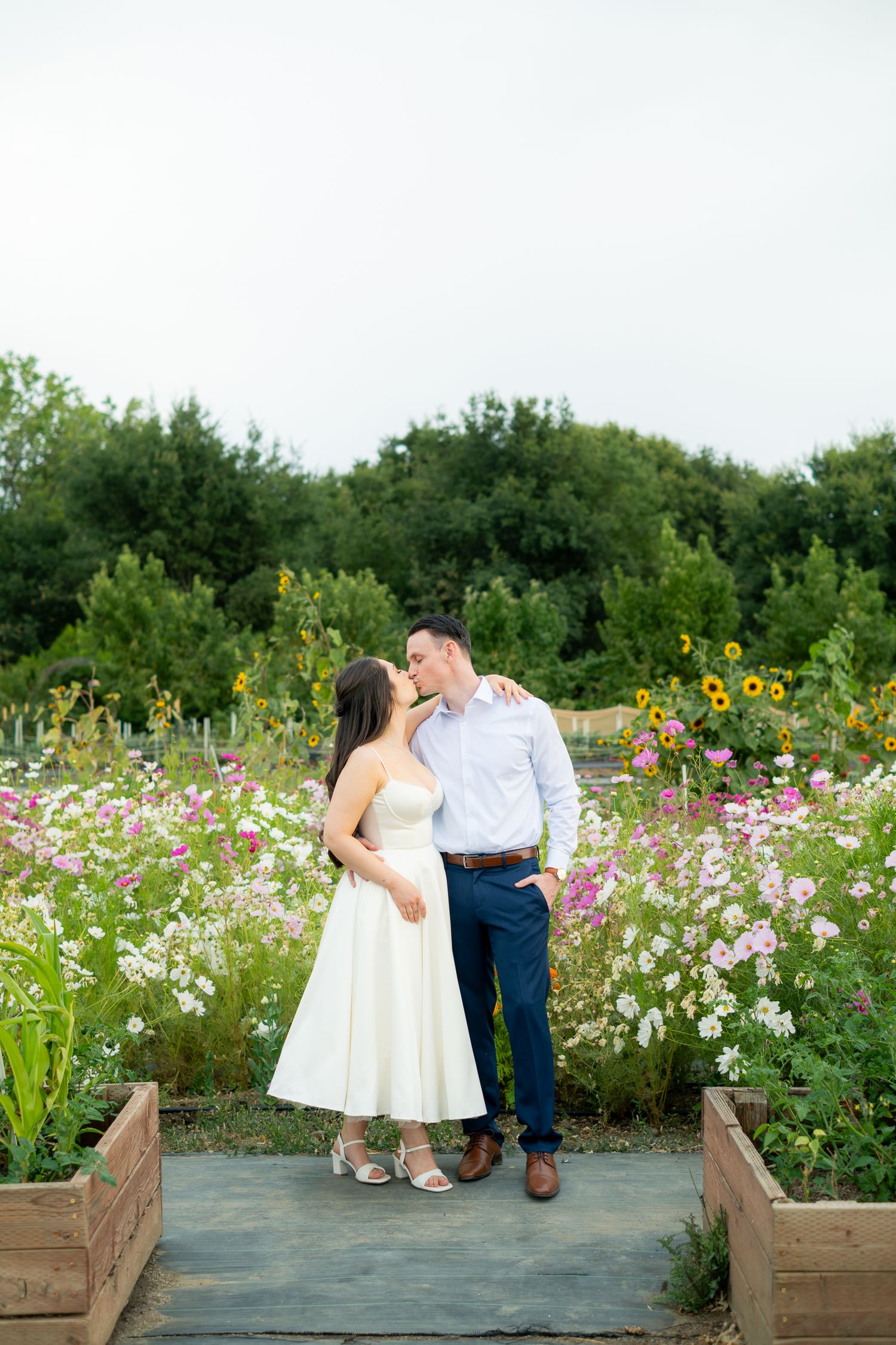 Couple sharing a romantic kiss in a lush flower garden with pink cosmos and sunflowers during an engagement session.